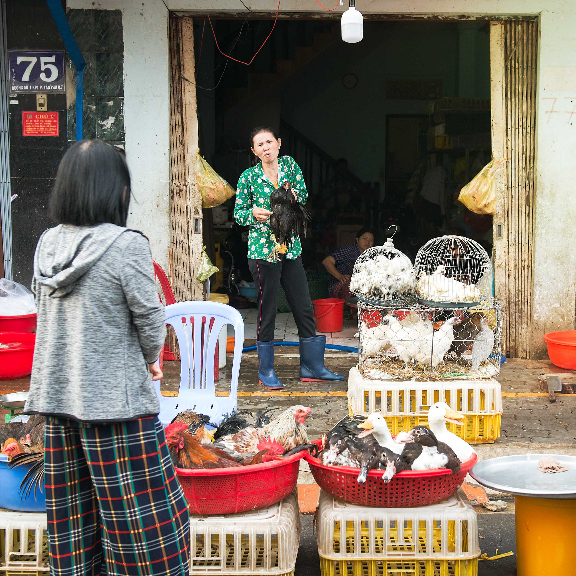 Фотопрогулка. Февраль 2019. Юлия Розанова, коммерческий фоторепортаж в Москве