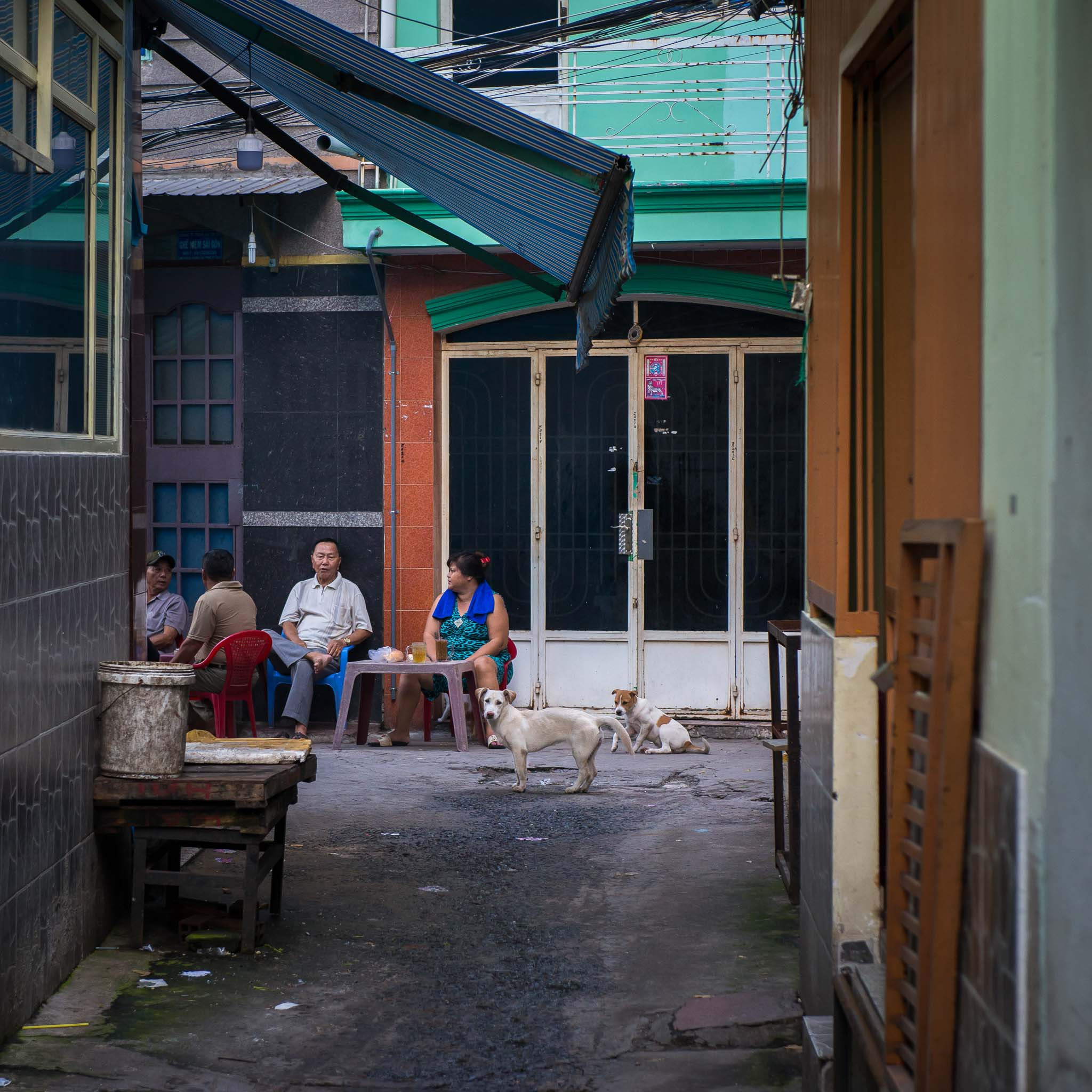 Фотопрогулка'17. Юлия Розанова, коммерческий фоторепортаж в Москве