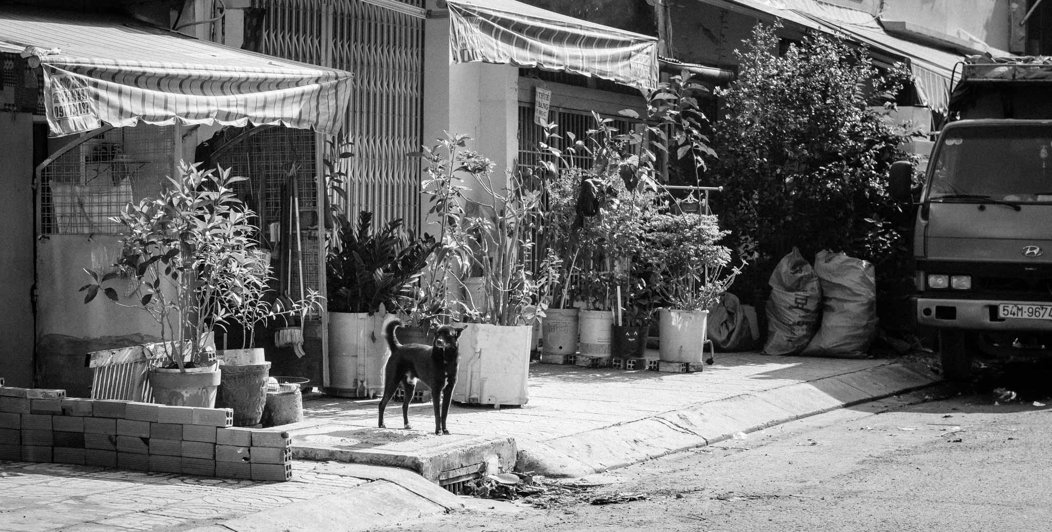 Фотопрогулка'17. Юлия Розанова, коммерческий фоторепортаж в Москве