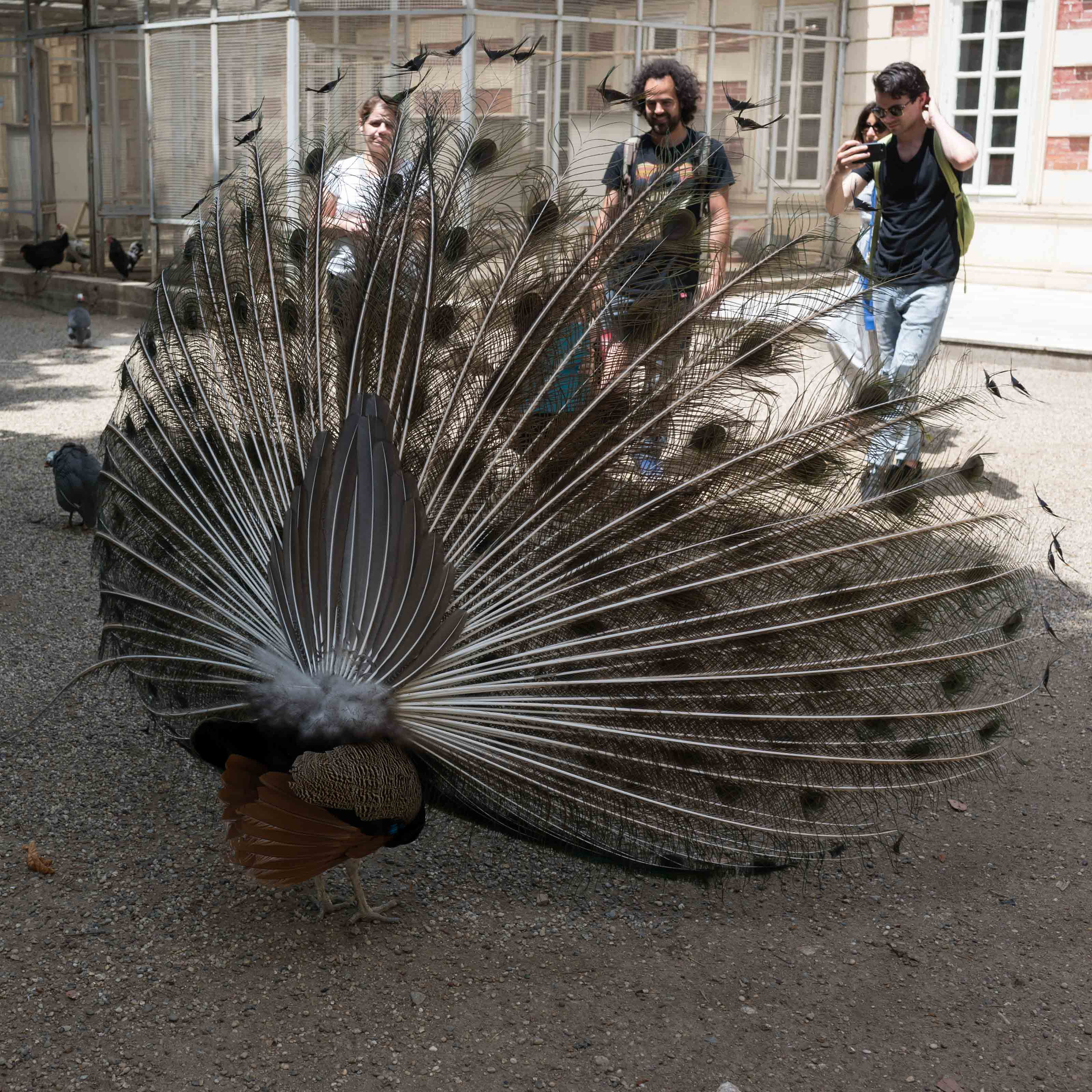 Турция '19. Юлия Розанова, коммерческий фоторепортаж в Москве