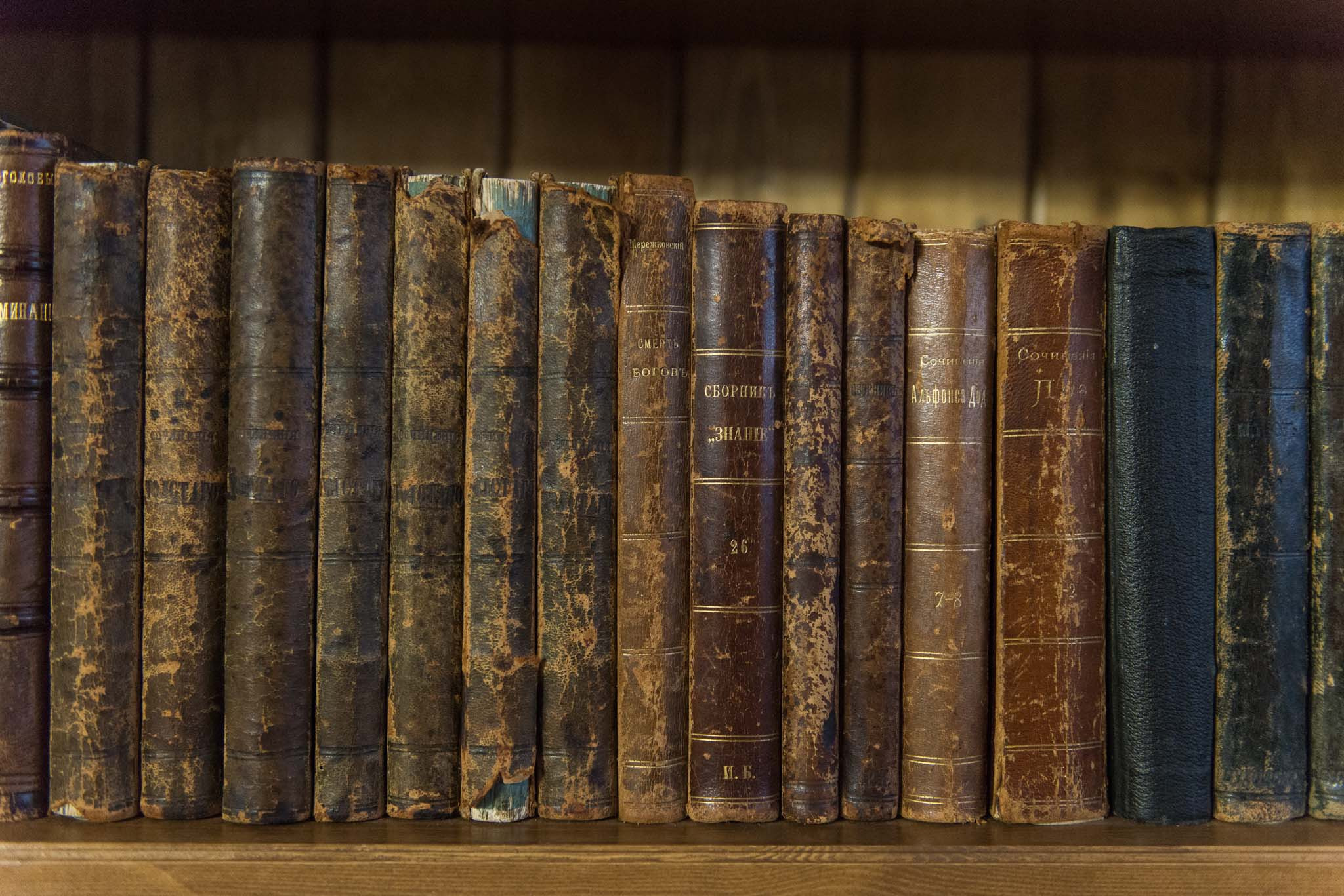 Московская обл. Шахматово. Юлия Розанова, коммерческий фоторепортаж в Москве