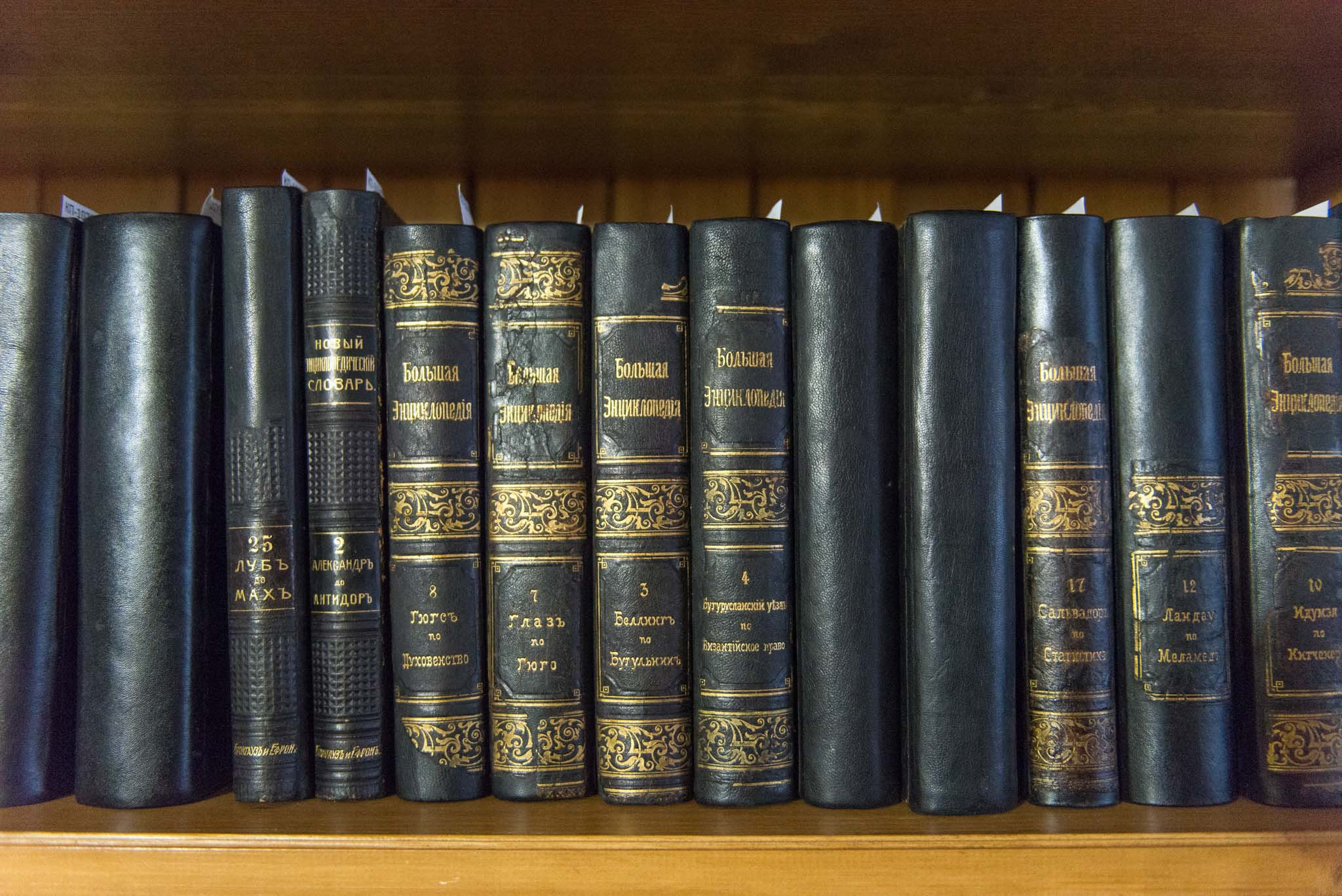 Московская обл. Шахматово. Юлия Розанова, коммерческий фоторепортаж в Москве