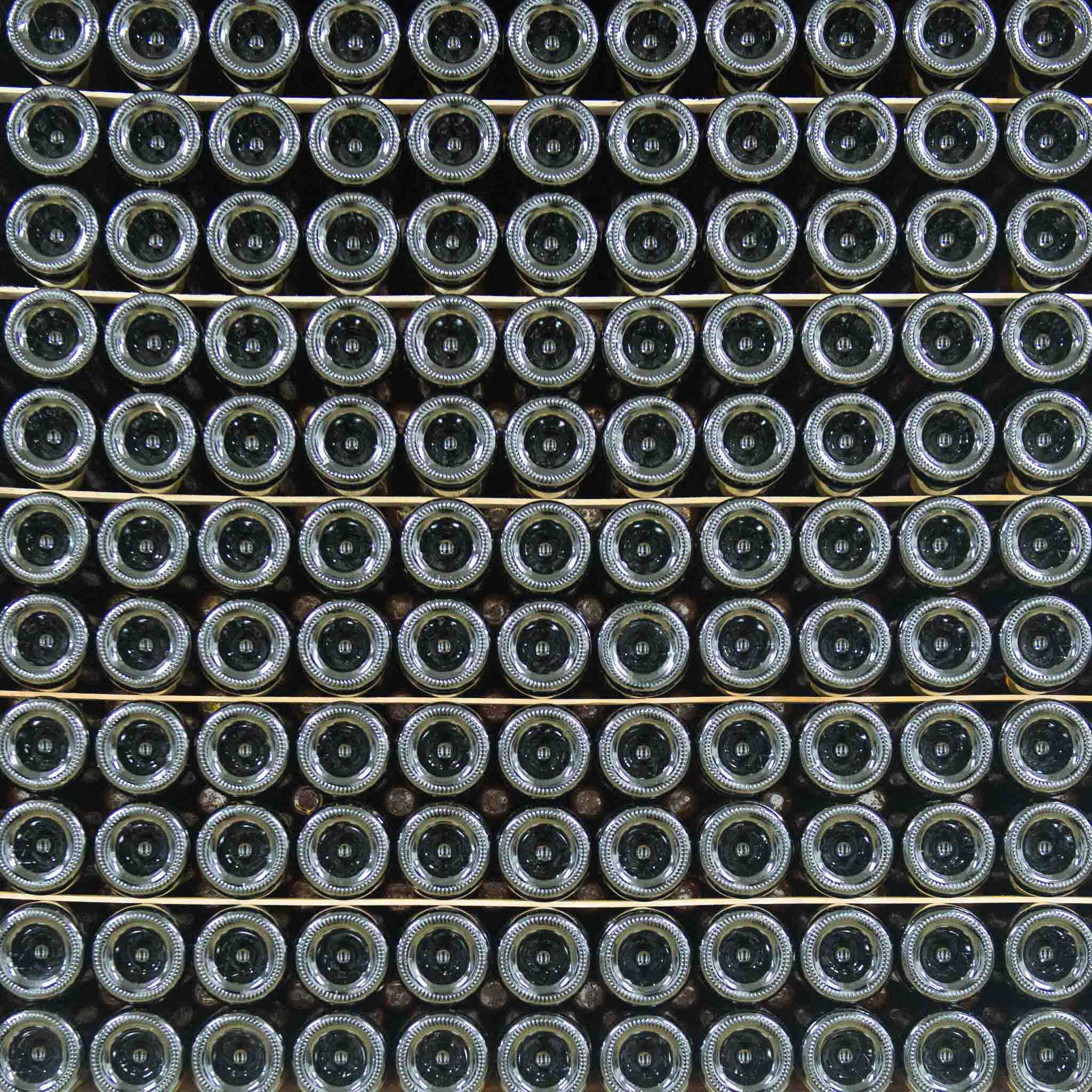 Симеиз-Ялта. Друзья. Юлия Розанова, коммерческий фоторепортаж в Москве