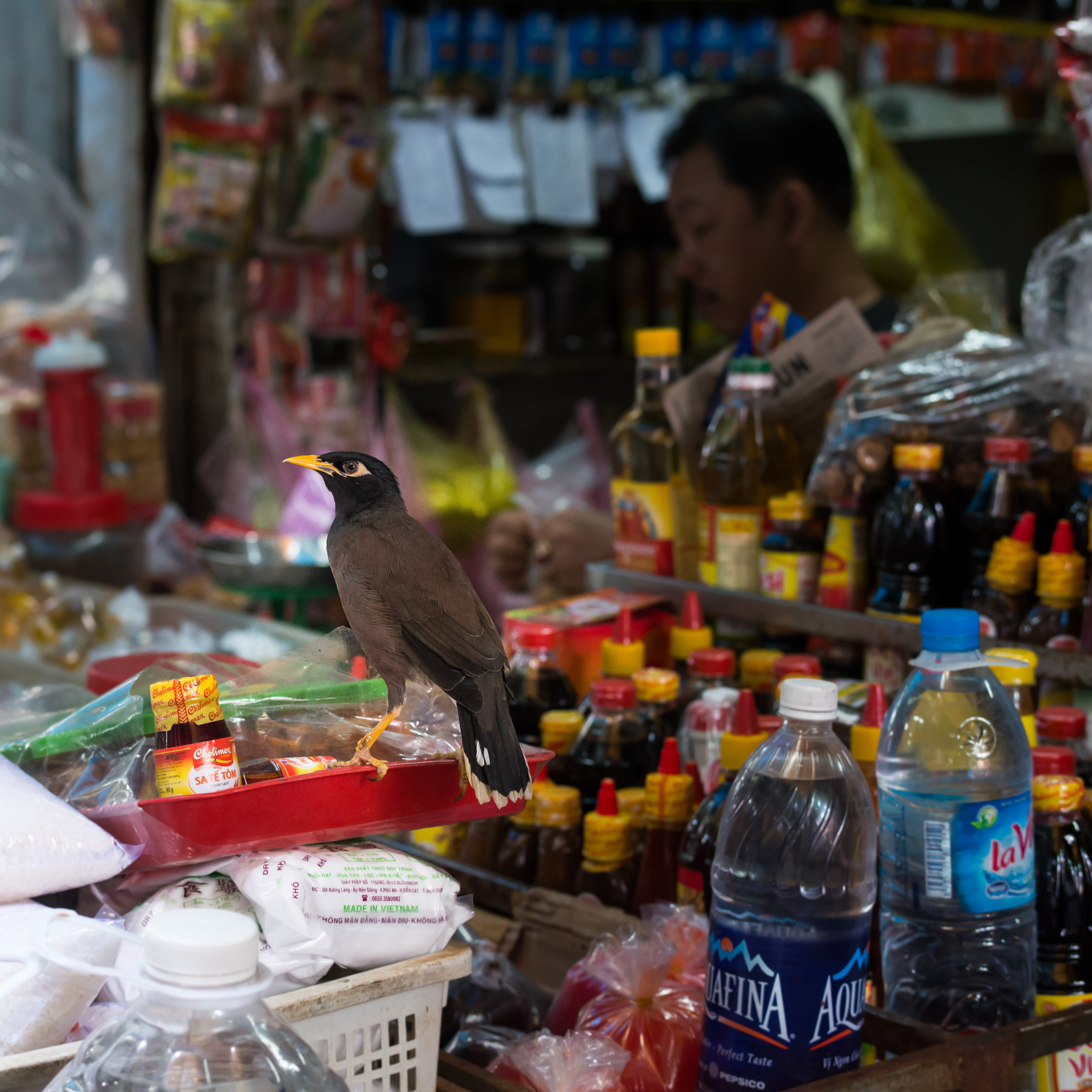 Saigonstreet. Юлия Розанова, коммерческий фоторепортаж в Москве