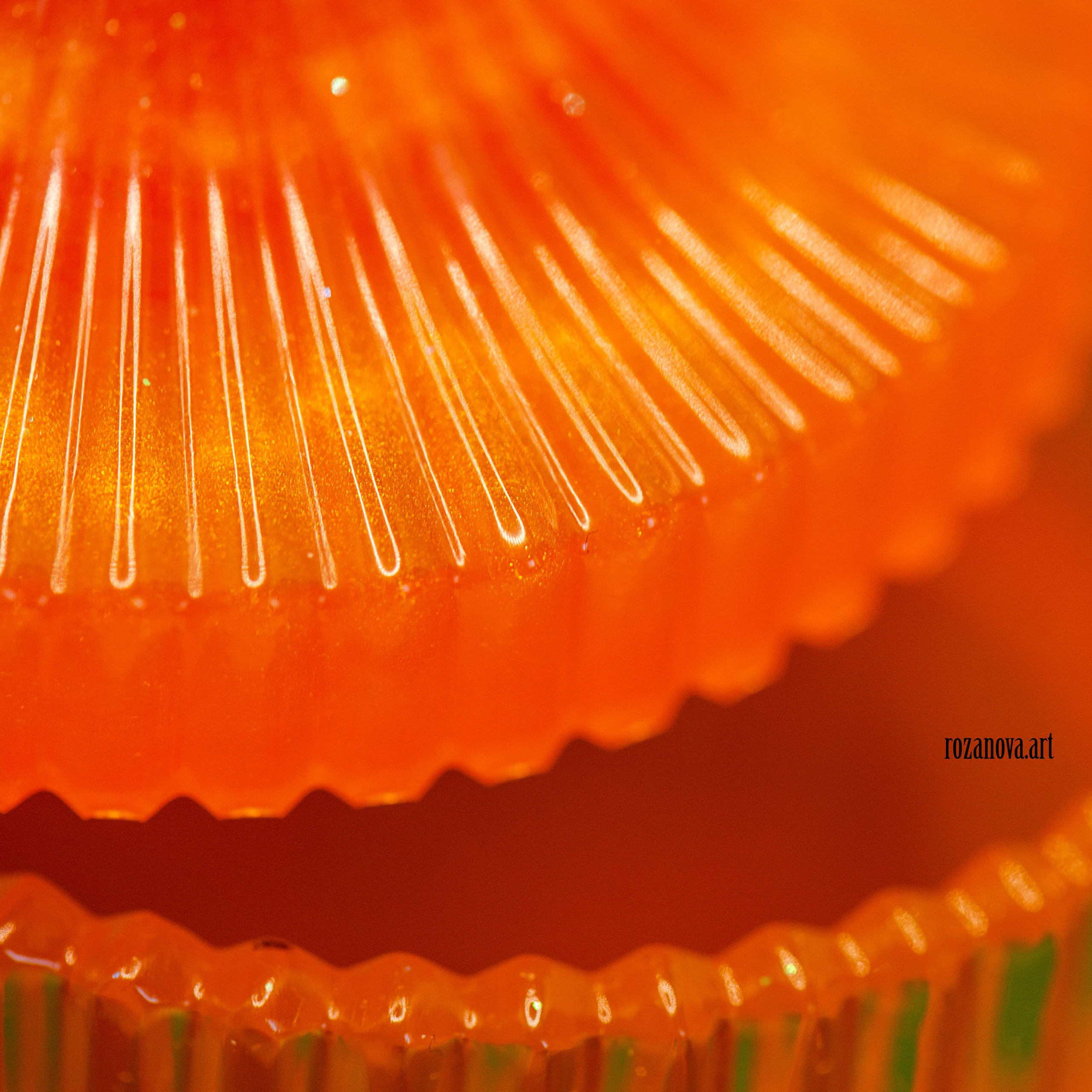 Resinart. Юлия Розанова, коммерческий фоторепортаж в Москве