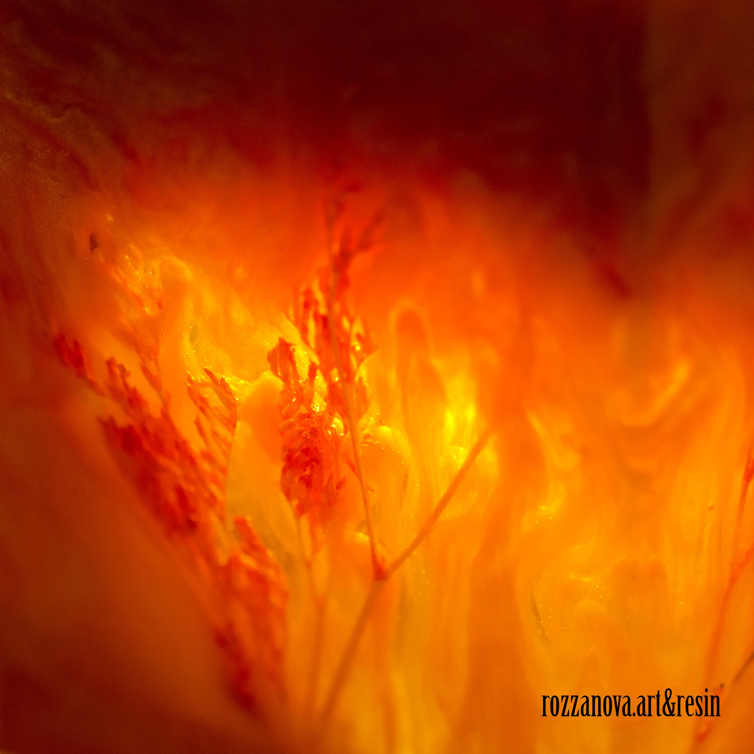 Resinart. Юлия Розанова, коммерческий фоторепортаж в Москве