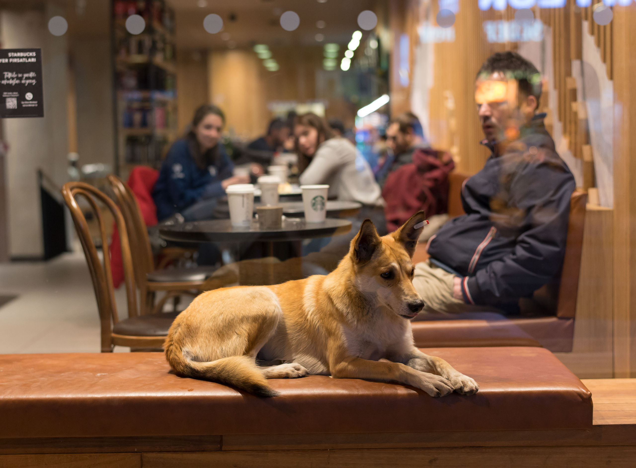 Стамбул '20. Юлия Розанова, коммерческий фоторепортаж в Москве