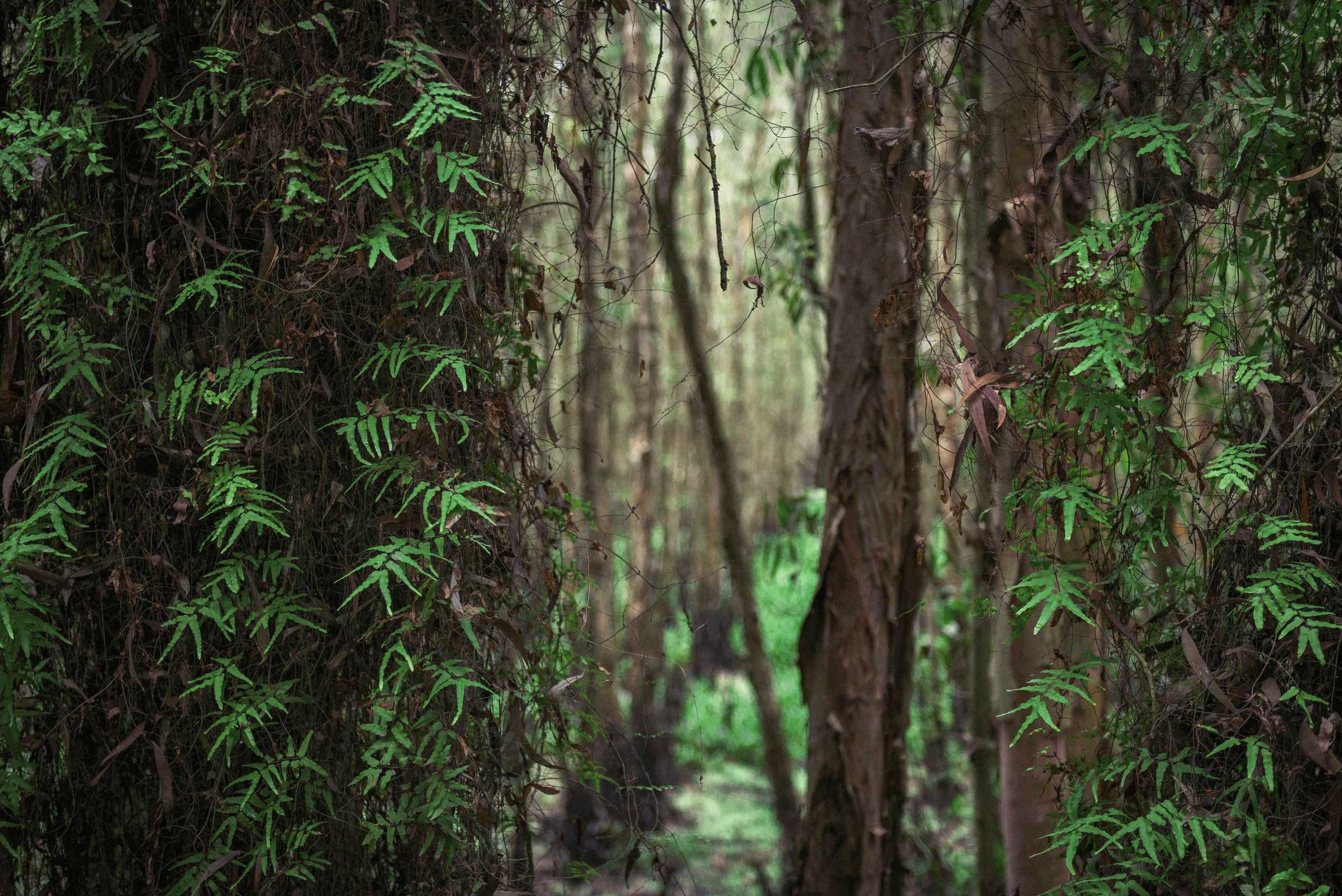 Тяудок. Март 2018. Юлия Розанова, коммерческий фоторепортаж в Москве