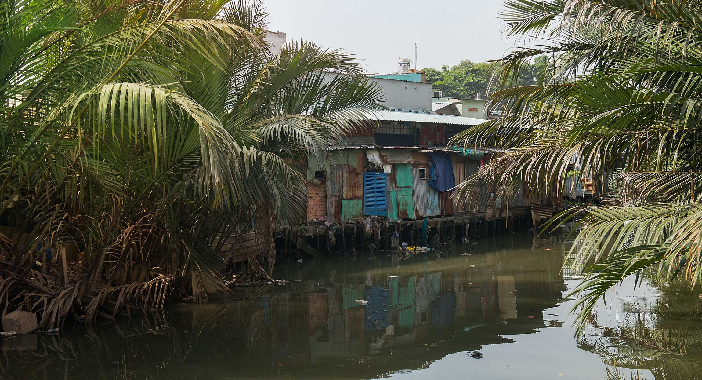 Фотопрогулка. Февраль 2019. Юлия Розанова, коммерческий фоторепортаж в Москве