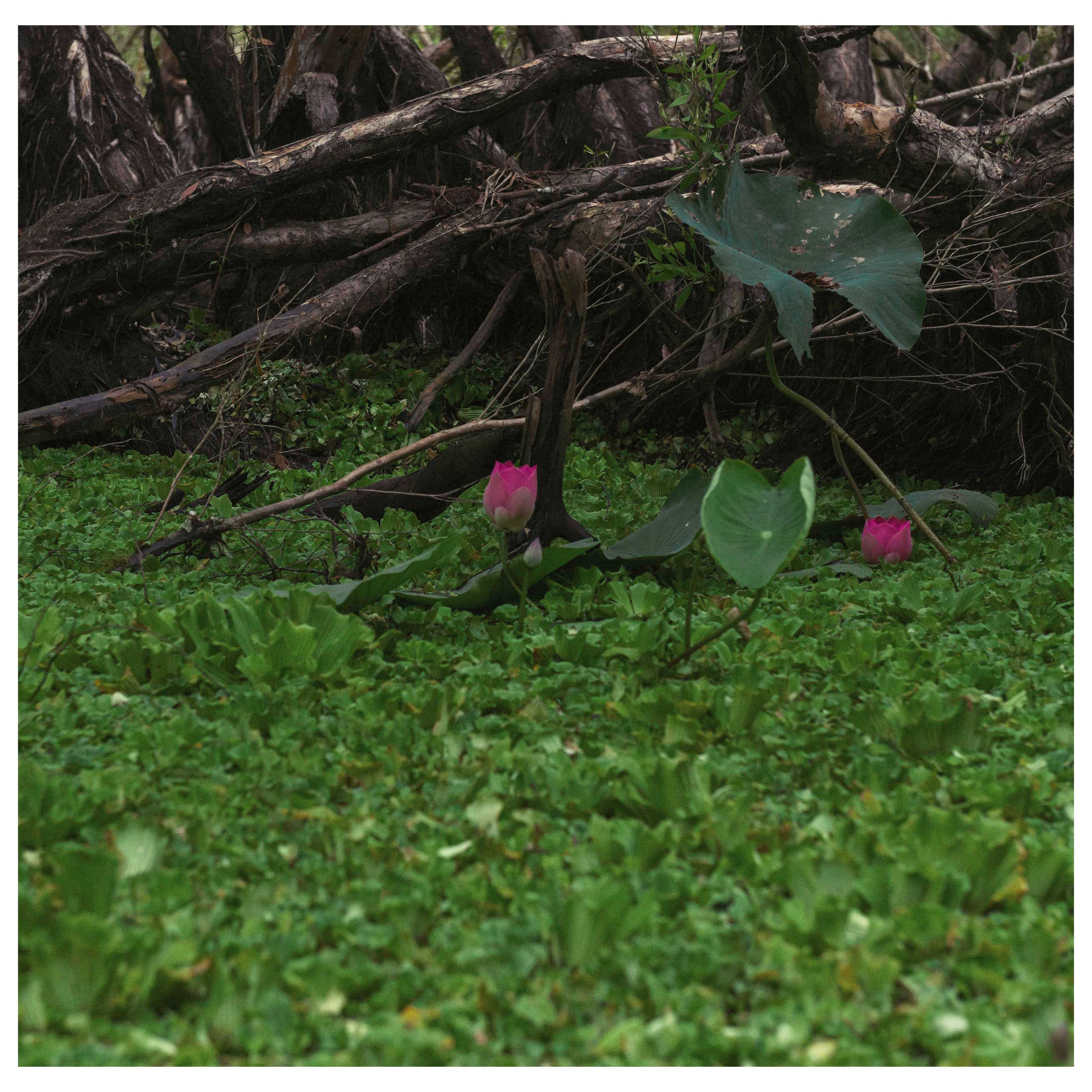 Тяудок. Март 2018. Юлия Розанова, коммерческий фоторепортаж в Москве