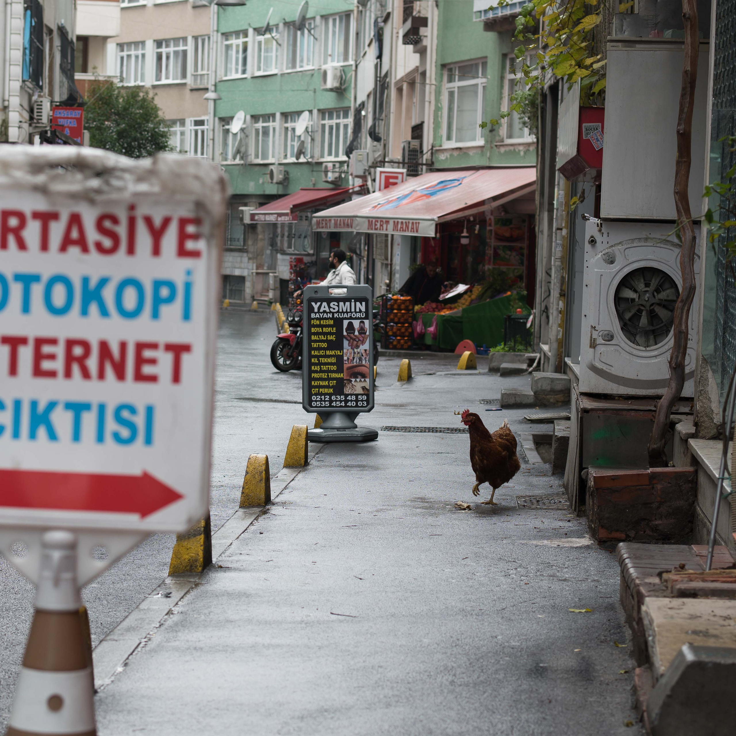 Стамбул '20. Юлия Розанова, коммерческий фоторепортаж в Москве