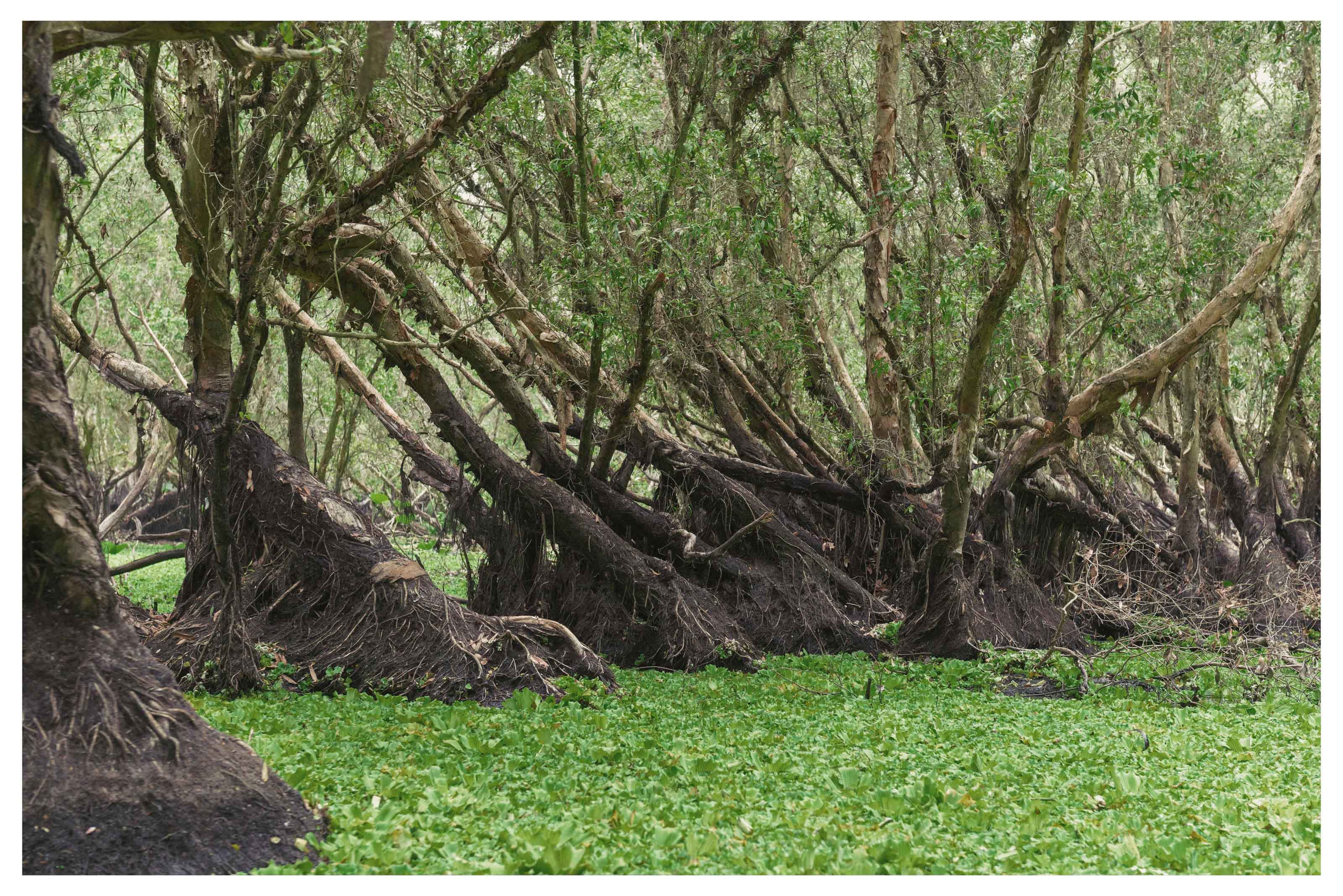 Тяудок. Март 2018. Юлия Розанова, коммерческий фоторепортаж в Москве