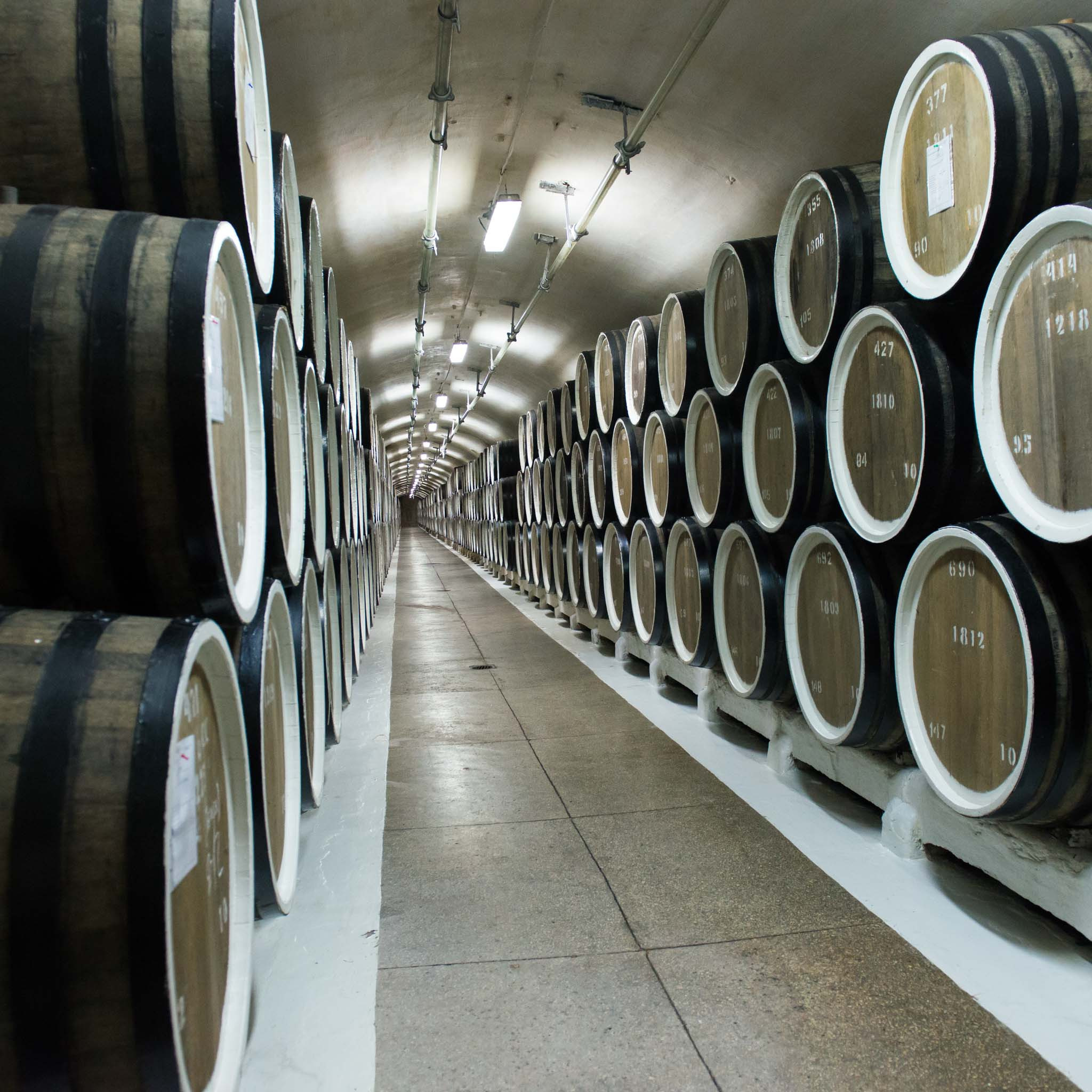 Симеиз-Ялта. Друзья. Юлия Розанова, коммерческий фоторепортаж в Москве