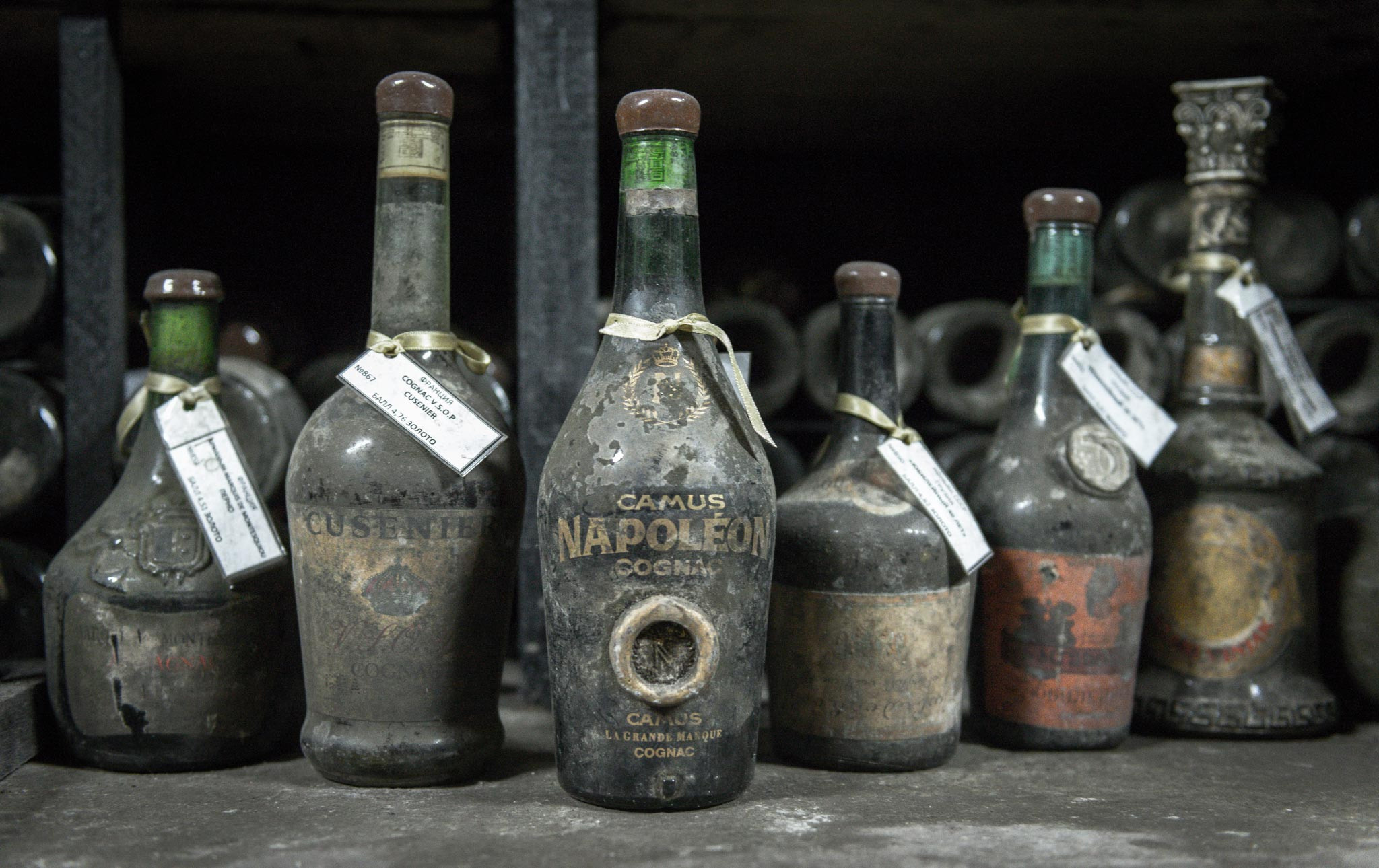 Массандра. Винодельческий комбинат. Юлия Розанова, коммерческий фоторепортаж в Москве