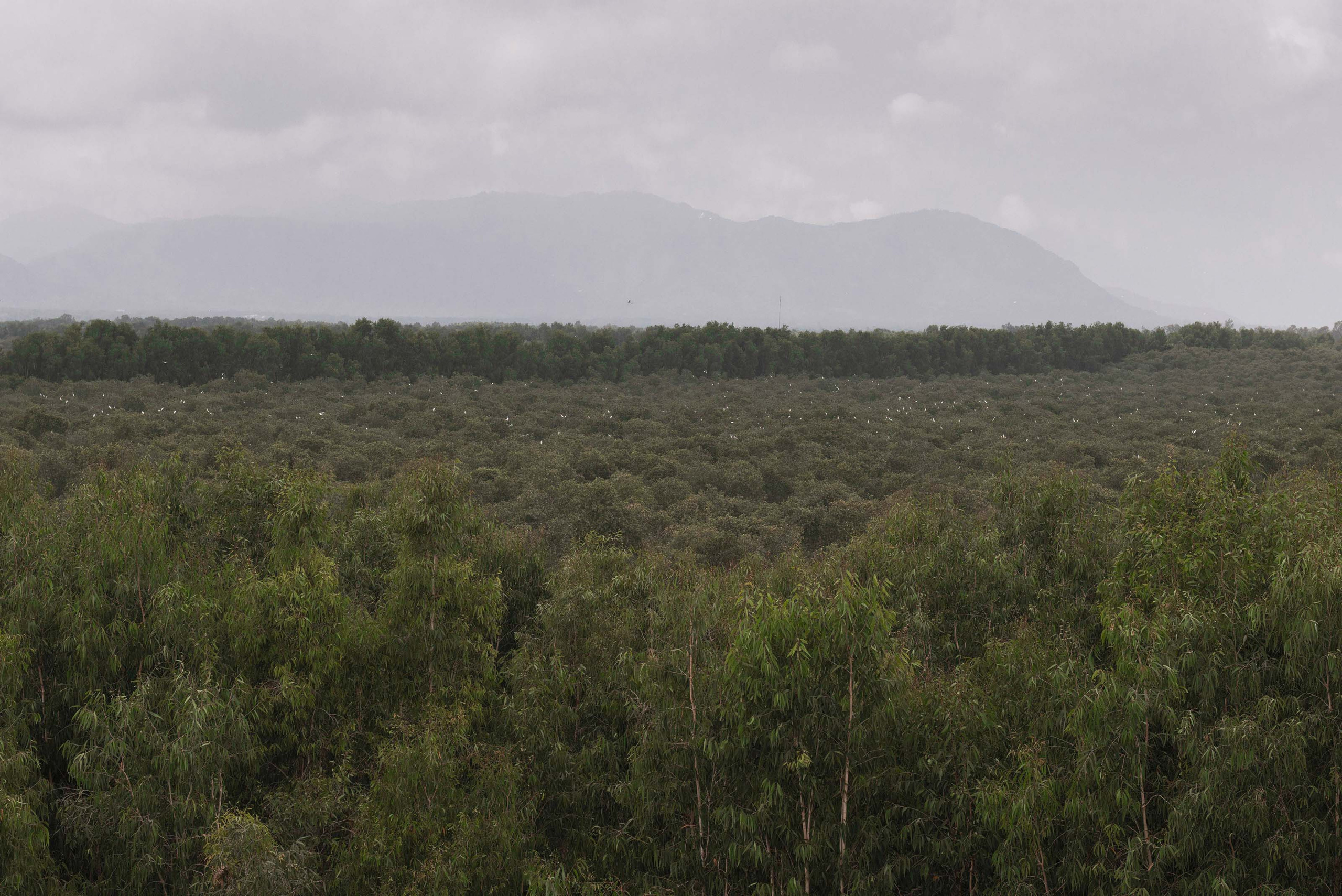 Тяудок. Март 2018. Юлия Розанова, коммерческий фоторепортаж в Москве