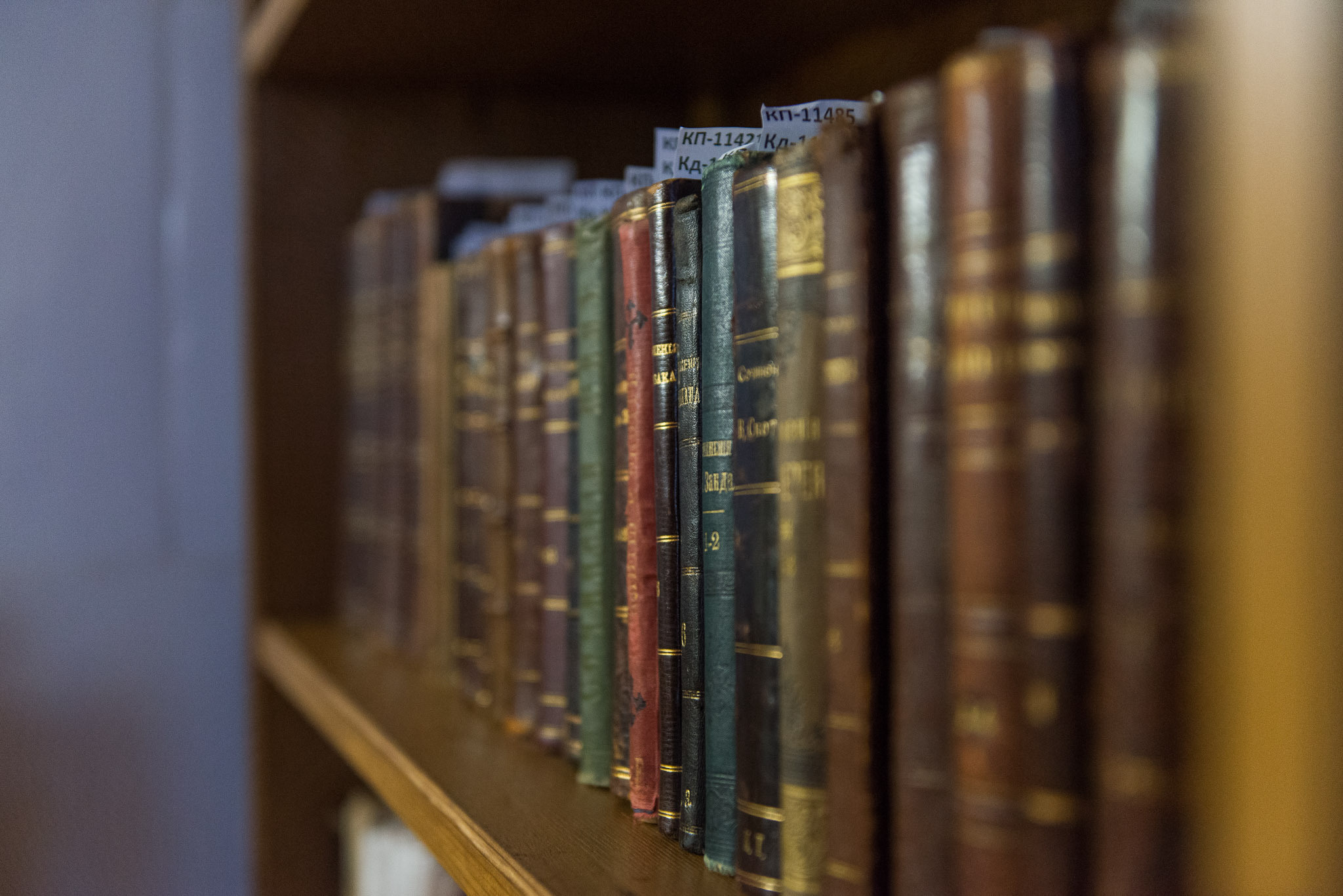 Московская обл. Шахматово. Юлия Розанова, коммерческий фоторепортаж в Москве