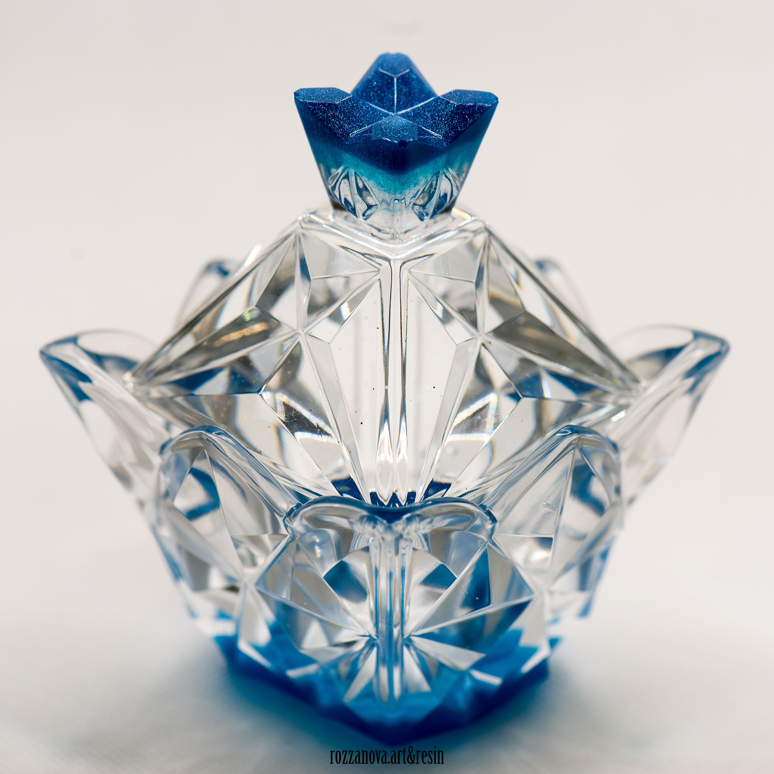 Resinart. Юлия Розанова, коммерческий фоторепортаж в Москве