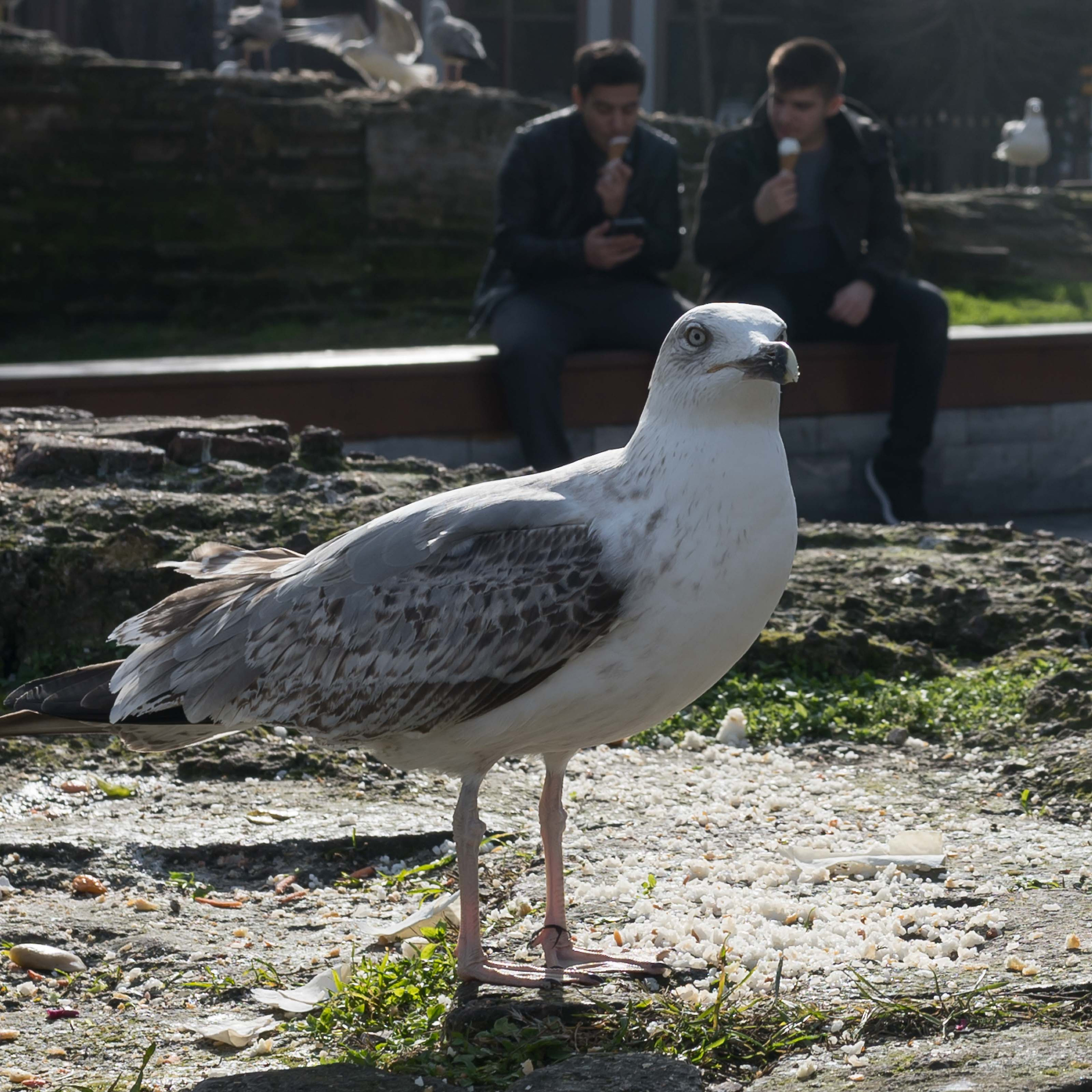 Стамбул '20. Юлия Розанова, коммерческий фоторепортаж в Москве