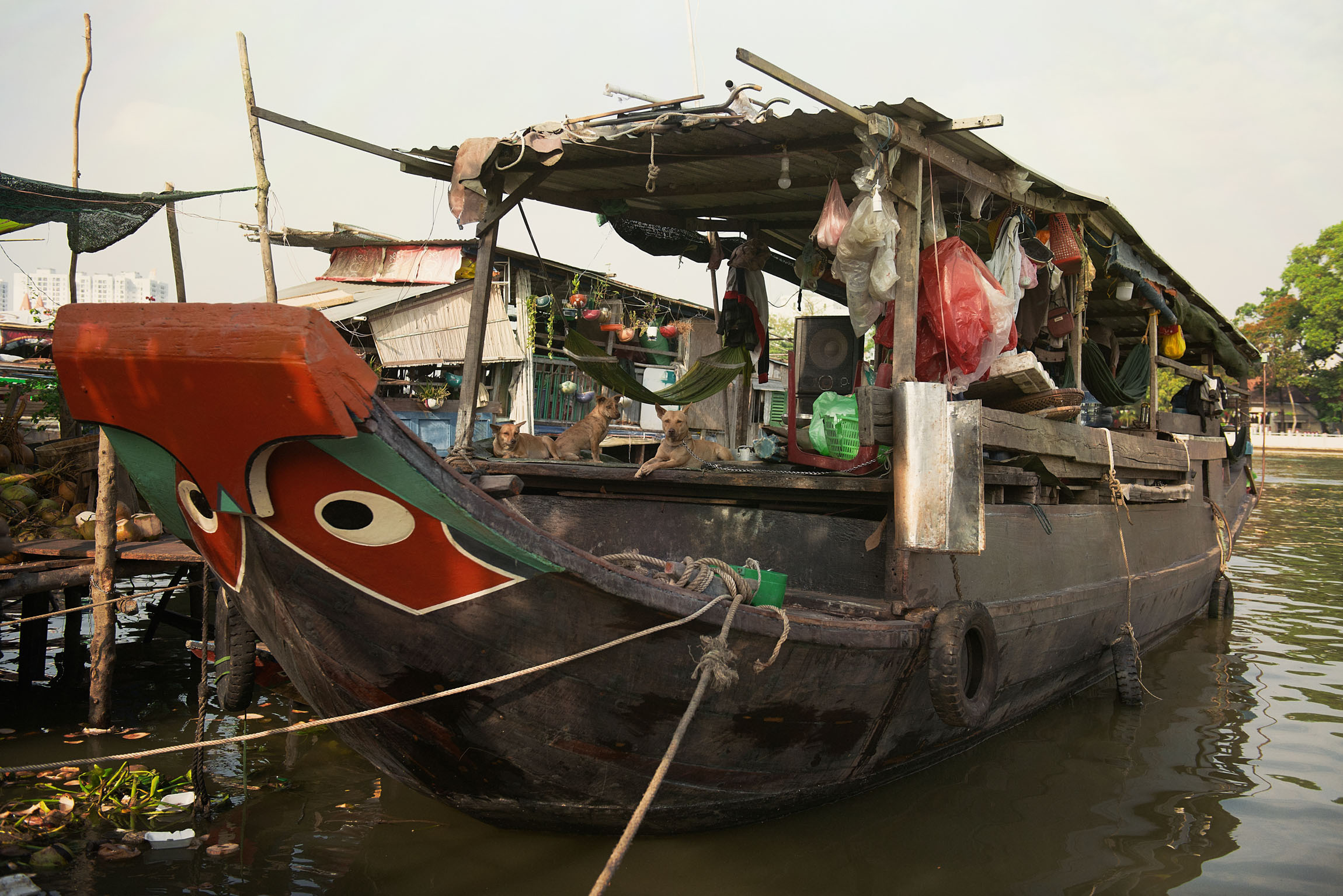 Фотопрогулка. Январь 2019. Юлия Розанова, коммерческий фоторепортаж в Москве