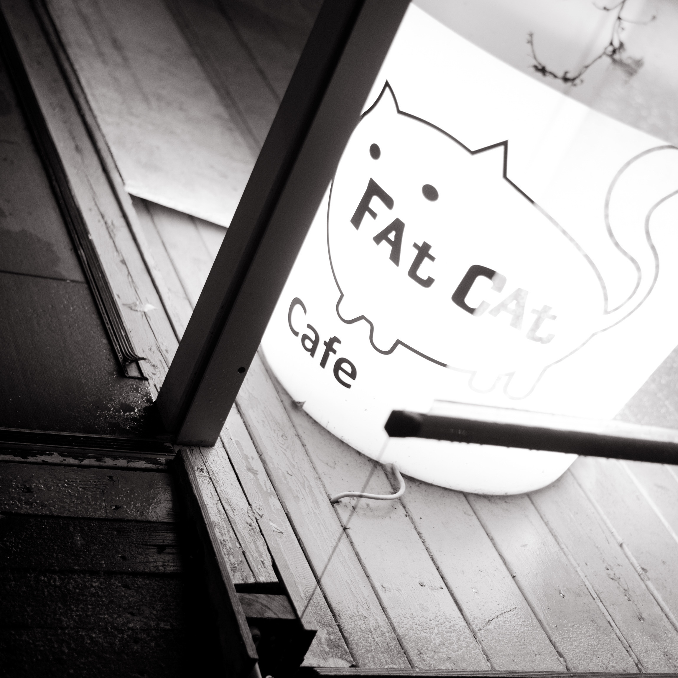 Литературные чтения. «Хитрые люди». Юлия Розанова, коммерческий фоторепортаж в Москве