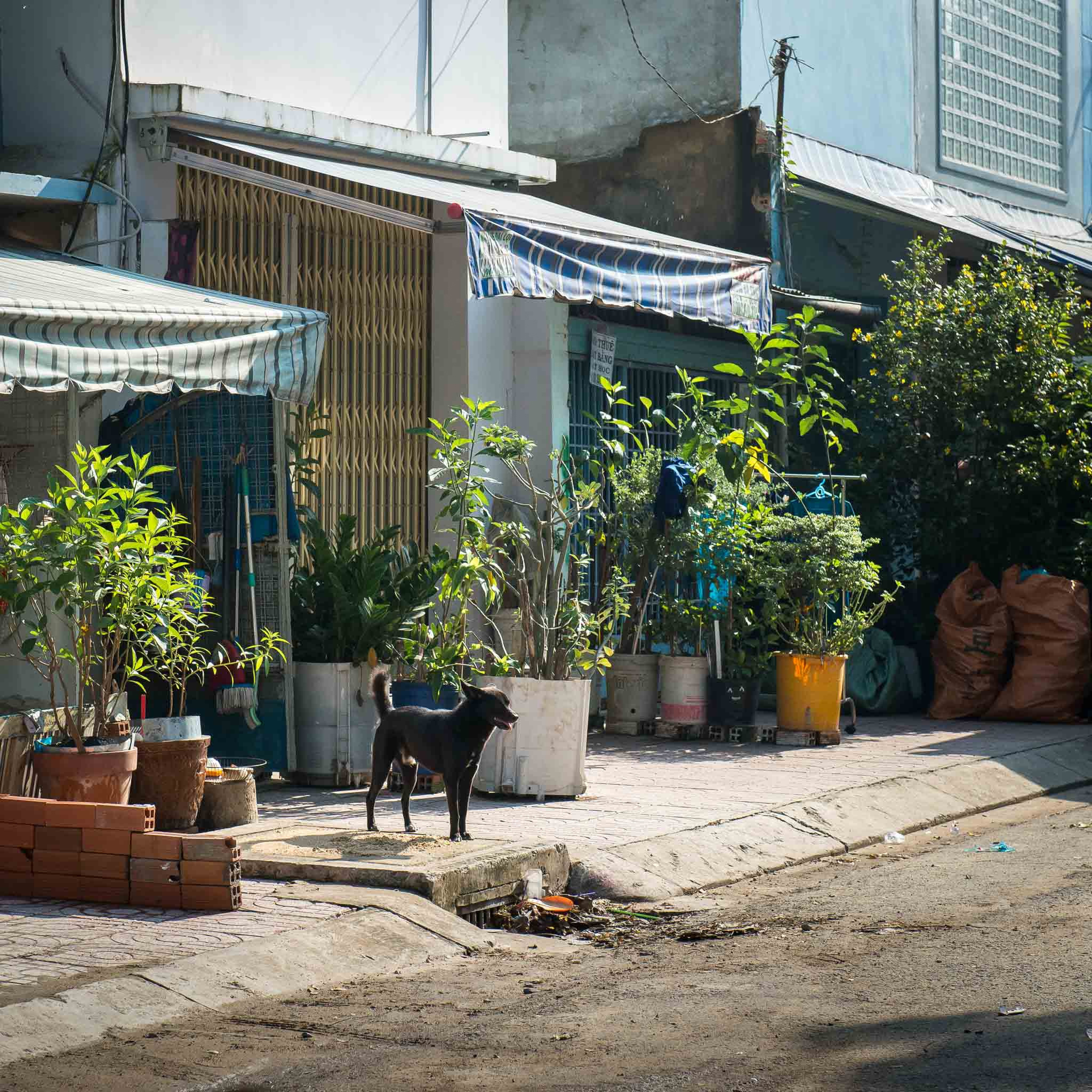 Фотопрогулка'17. Юлия Розанова, коммерческий фоторепортаж в Москве