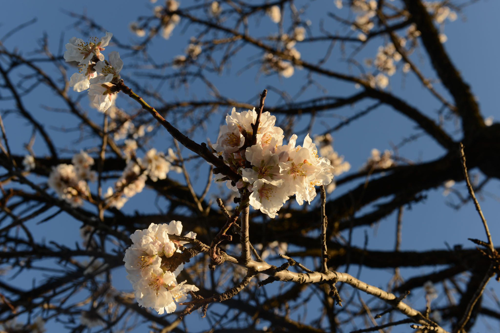 Симеиз-Ялта. Друзья. Юлия Розанова, коммерческий фоторепортаж в Москве
