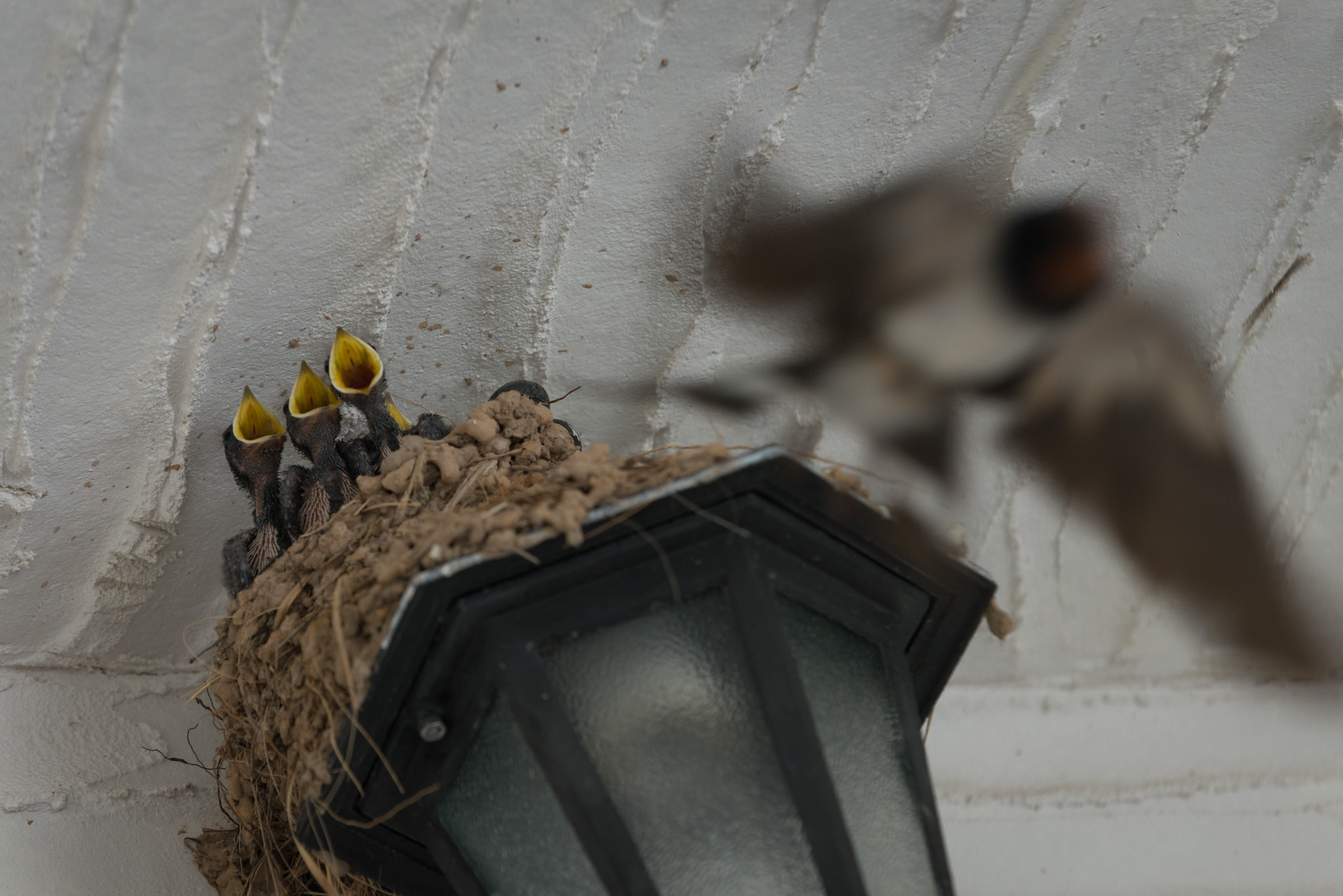 Costahispania. Семья. Юлия Розанова, коммерческий фоторепортаж в Москве