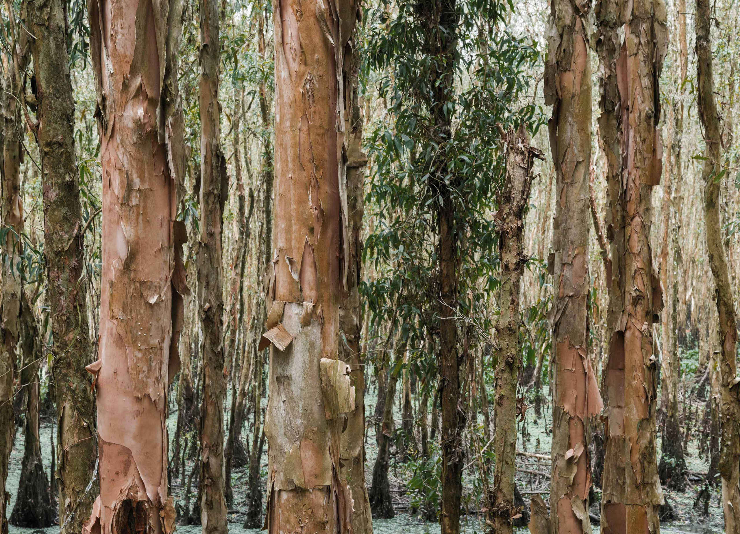 Тяудок. Март 2018. Юлия Розанова, коммерческий фоторепортаж в Москве