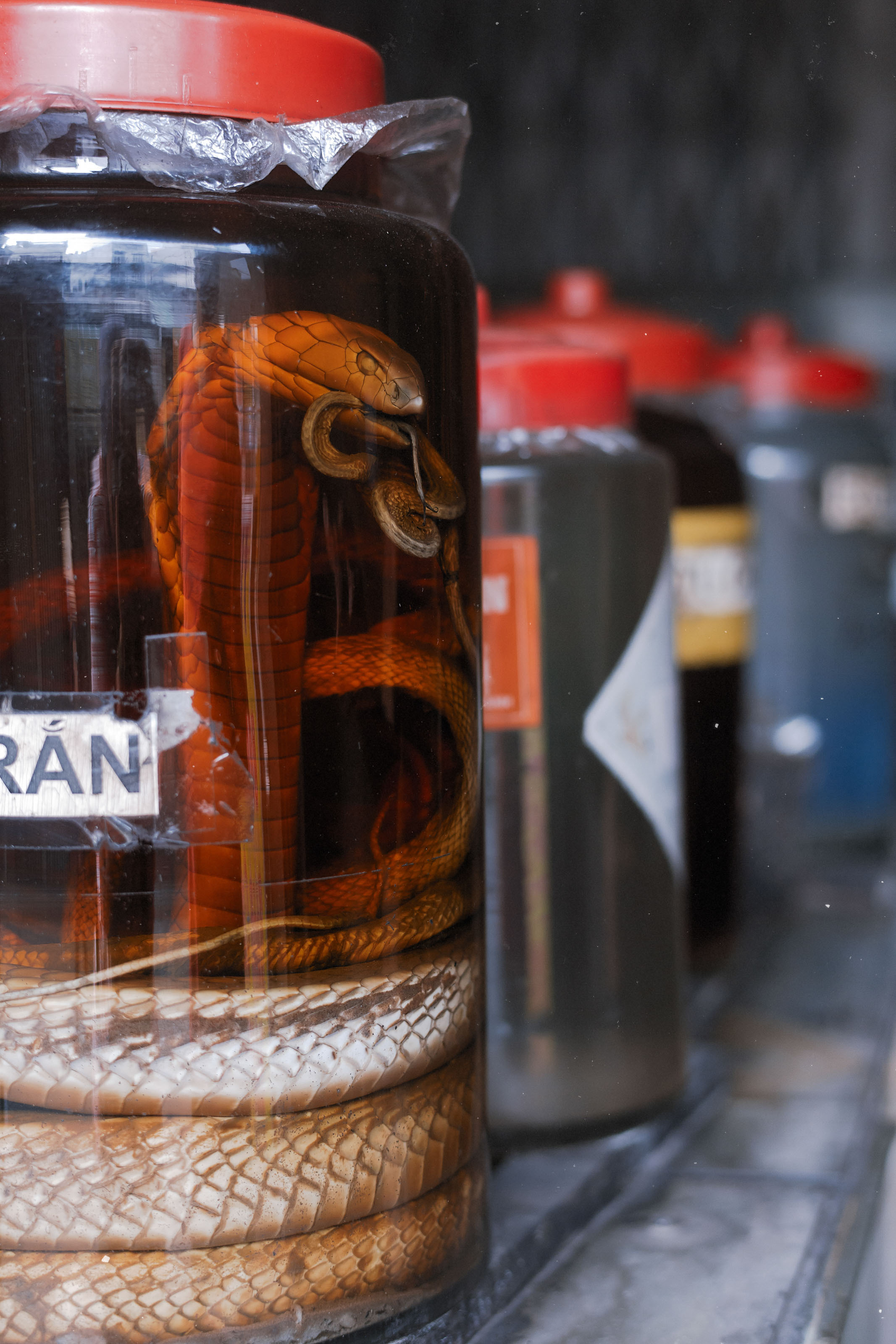 Фотопрогулка. Август 2020. Юлия Розанова, коммерческий фоторепортаж в Москве