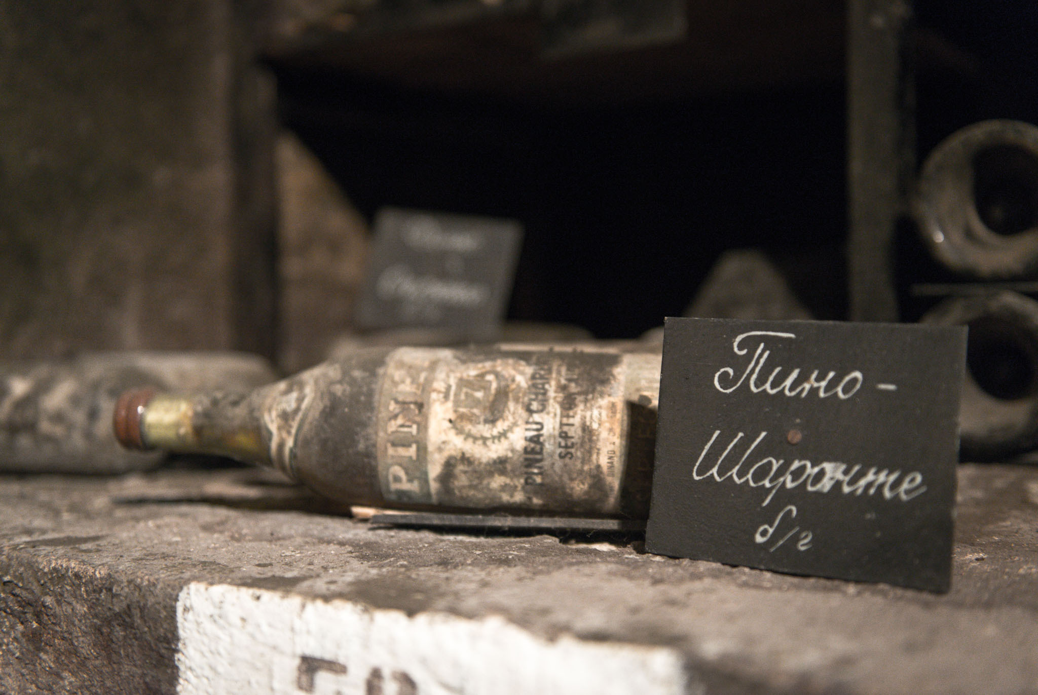 Массандра. Винодельческий комбинат. Юлия Розанова, коммерческий фоторепортаж в Москве