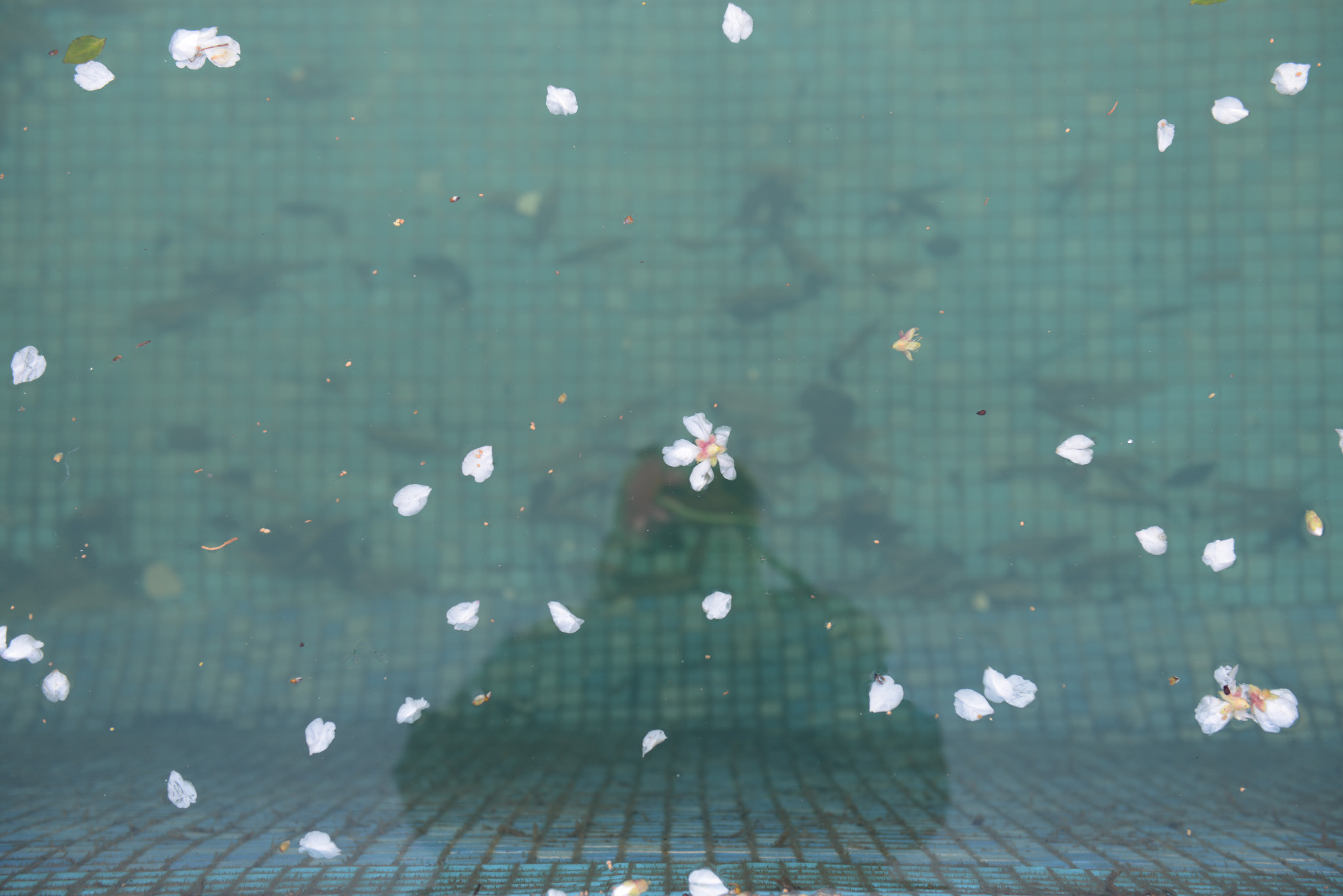 Симеиз-Ялта. Друзья. Юлия Розанова, коммерческий фоторепортаж в Москве