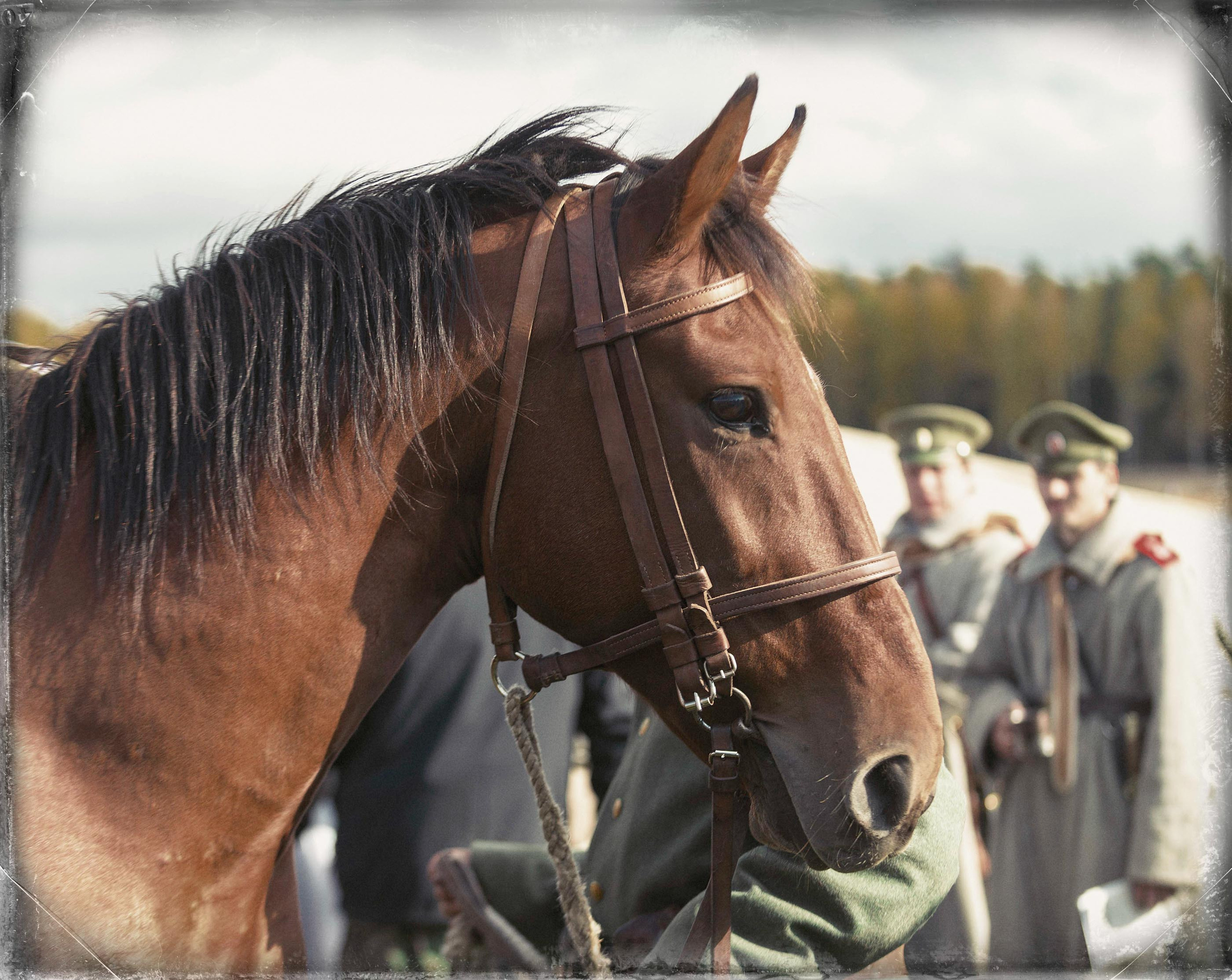Реконструкция боев на Восточном фронте осенью 1915 года. Юлия Розанова, коммерческий фоторепортаж в Москве