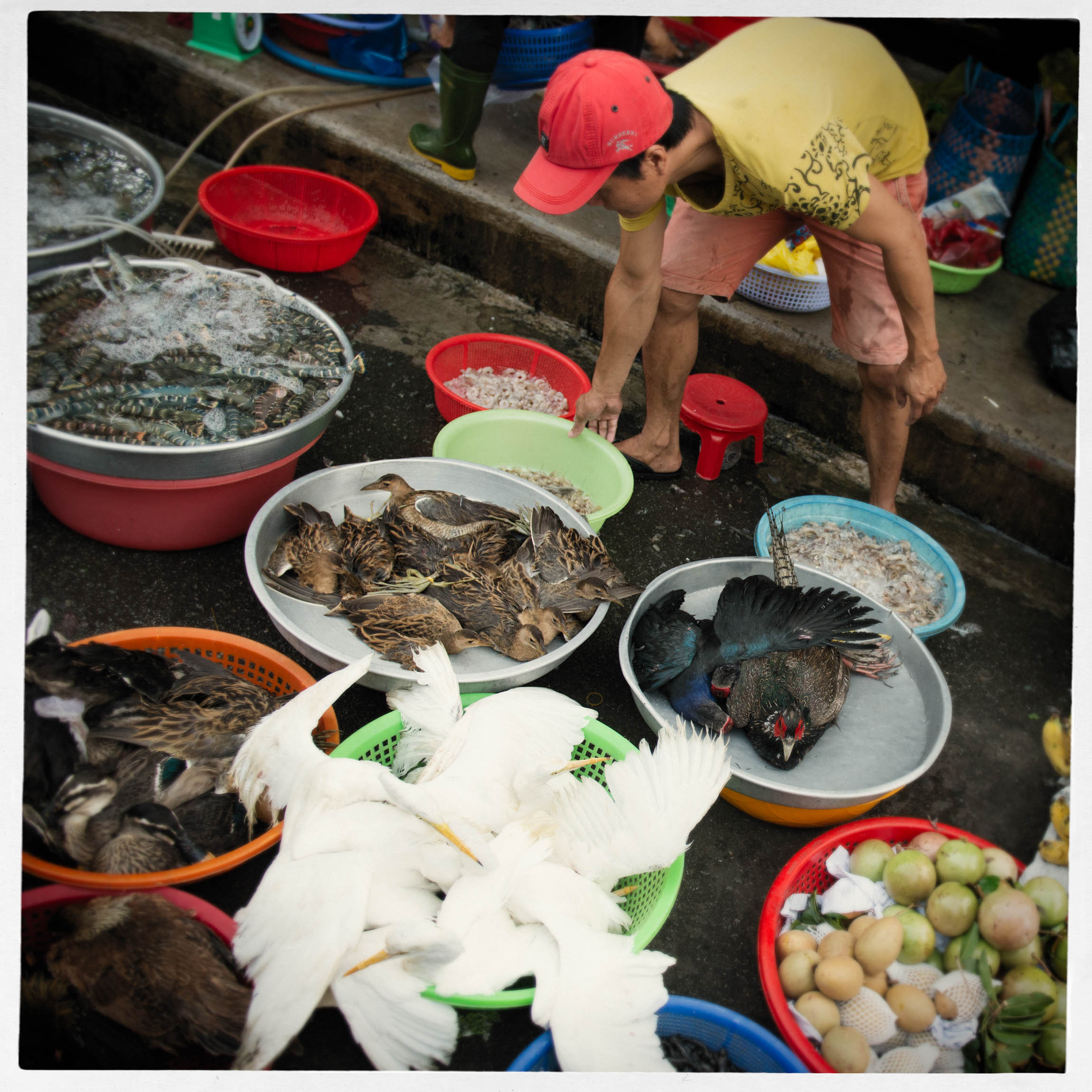 Фотопрогулка. Февраль 2019. Юлия Розанова, коммерческий фоторепортаж в Москве