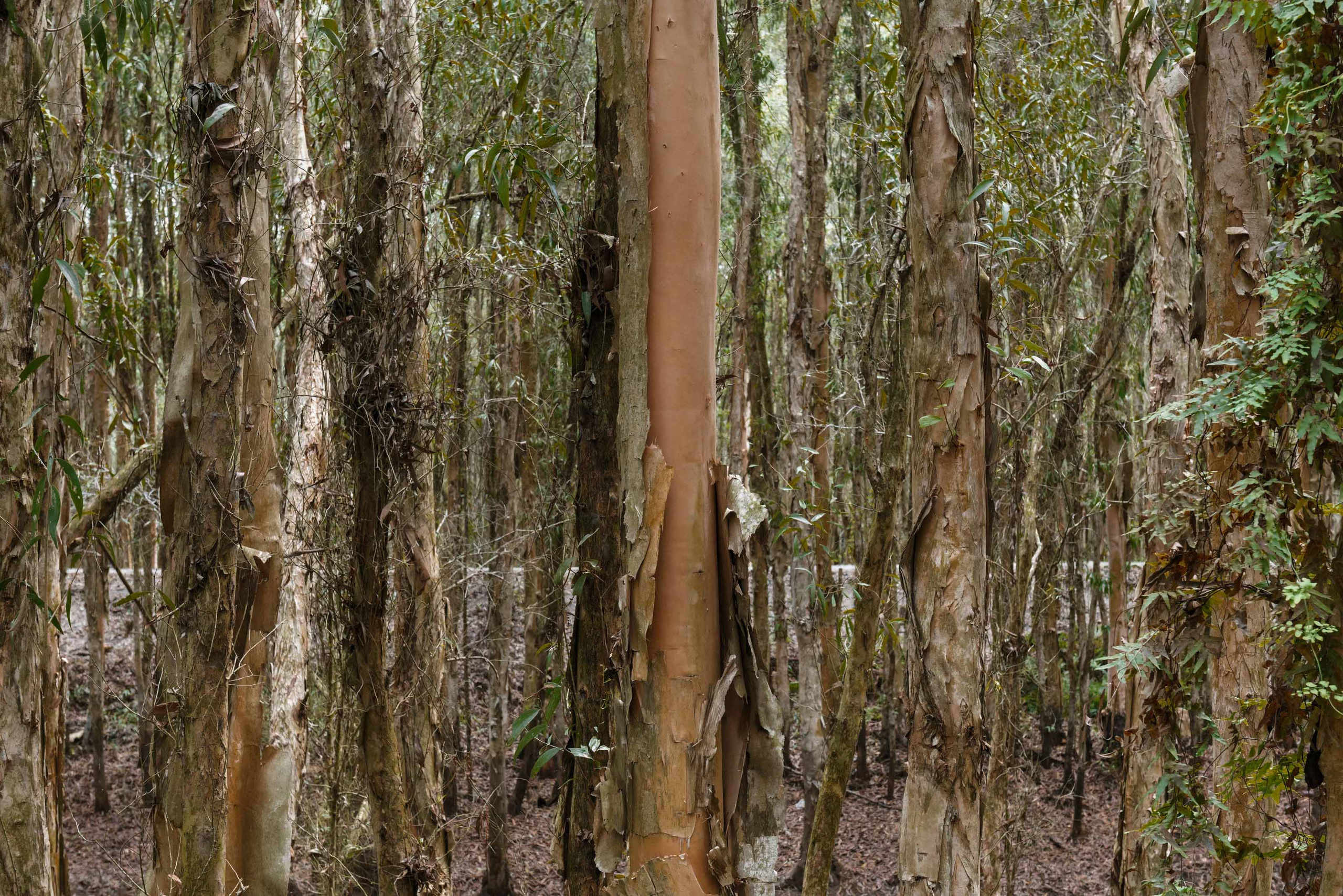 Тяудок. Март 2018. Юлия Розанова, коммерческий фоторепортаж в Москве