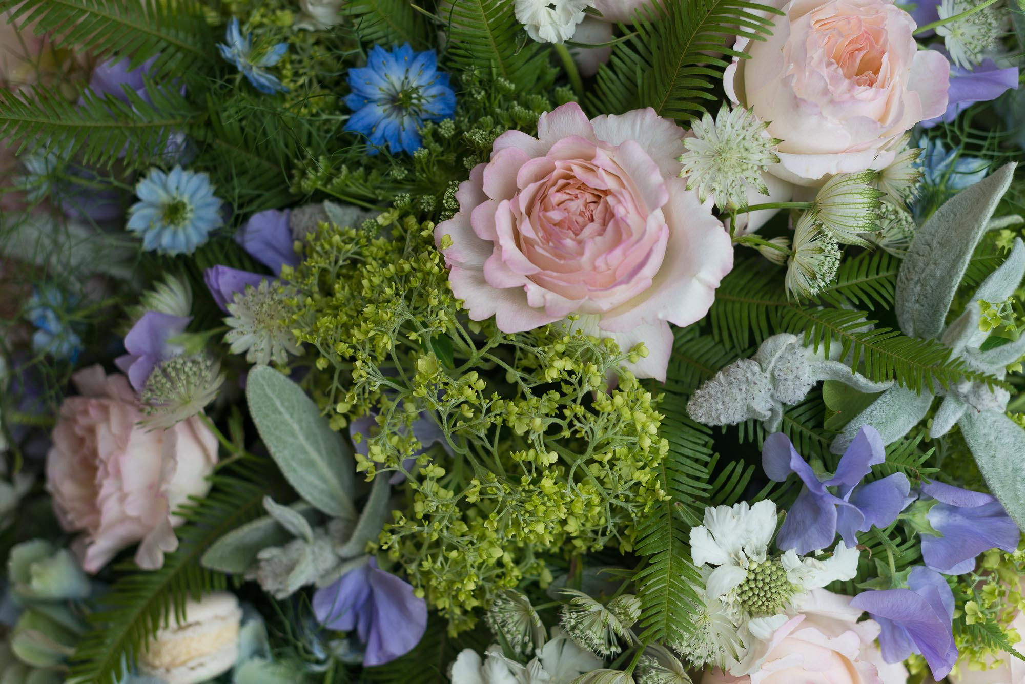 Давид 1 год. Праздник на даче. Юлия Розанова, коммерческий фоторепортаж в Москве