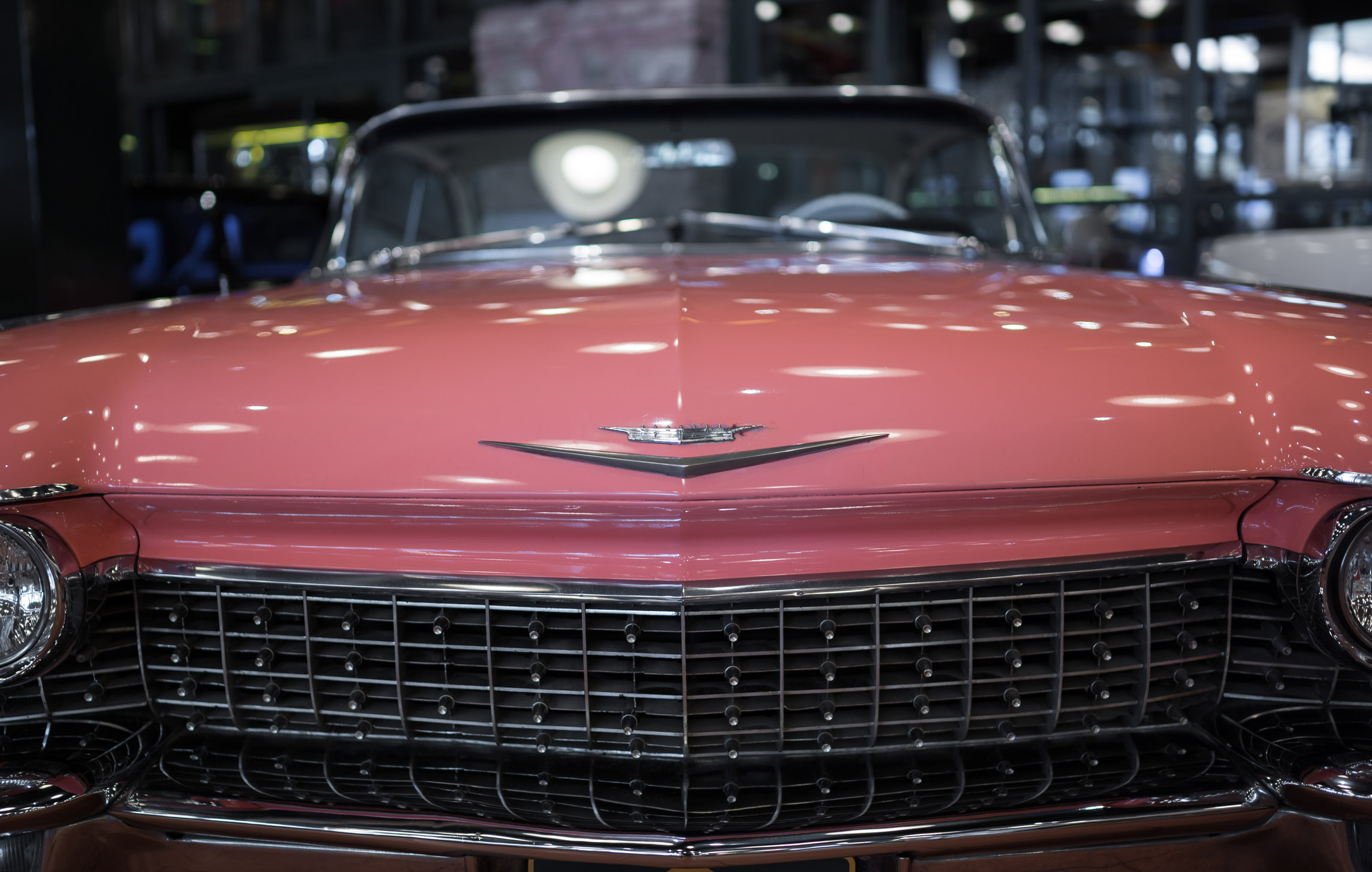 Турция '19. Юлия Розанова, коммерческий фоторепортаж в Москве