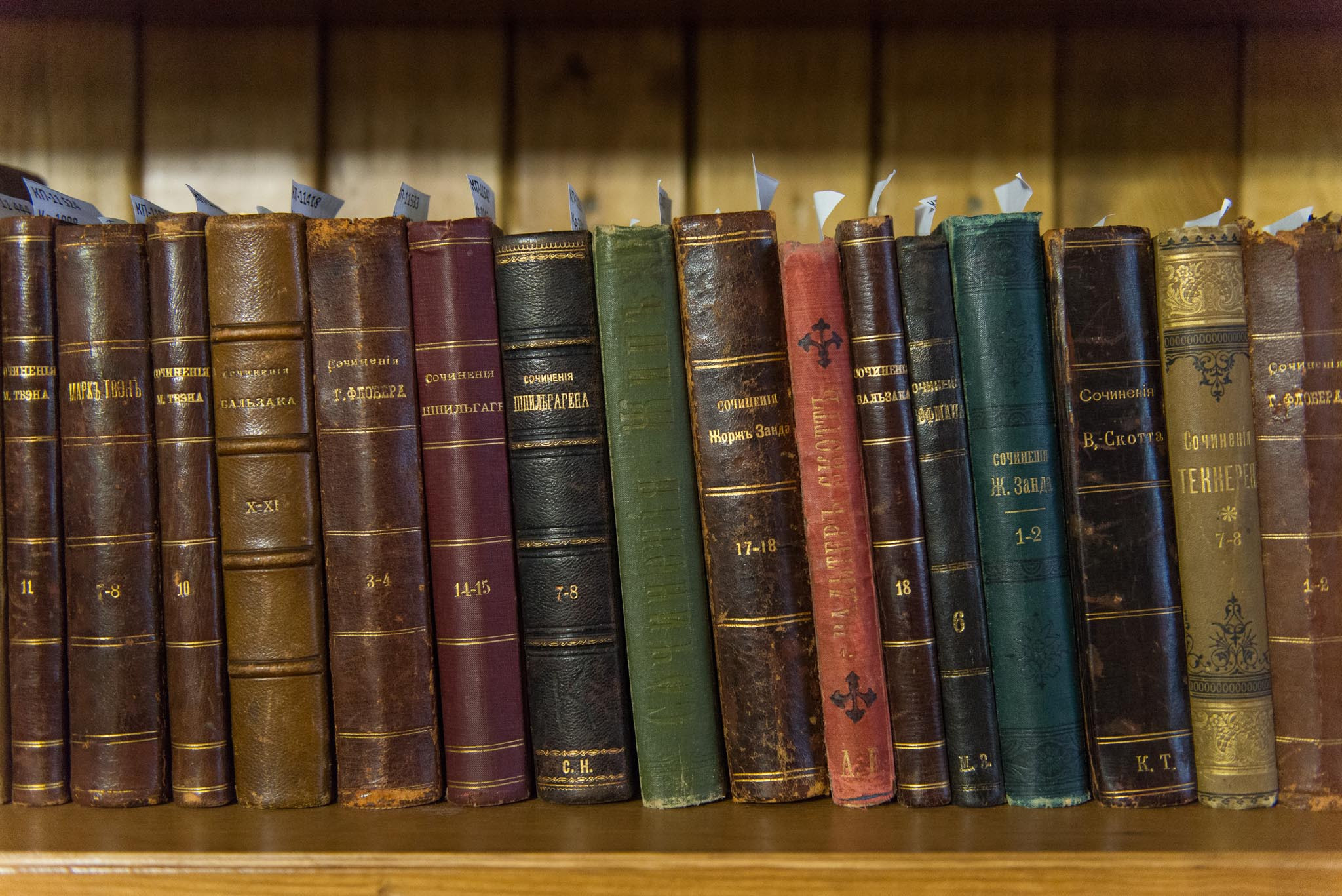 Московская обл. Шахматово. Юлия Розанова, коммерческий фоторепортаж в Москве