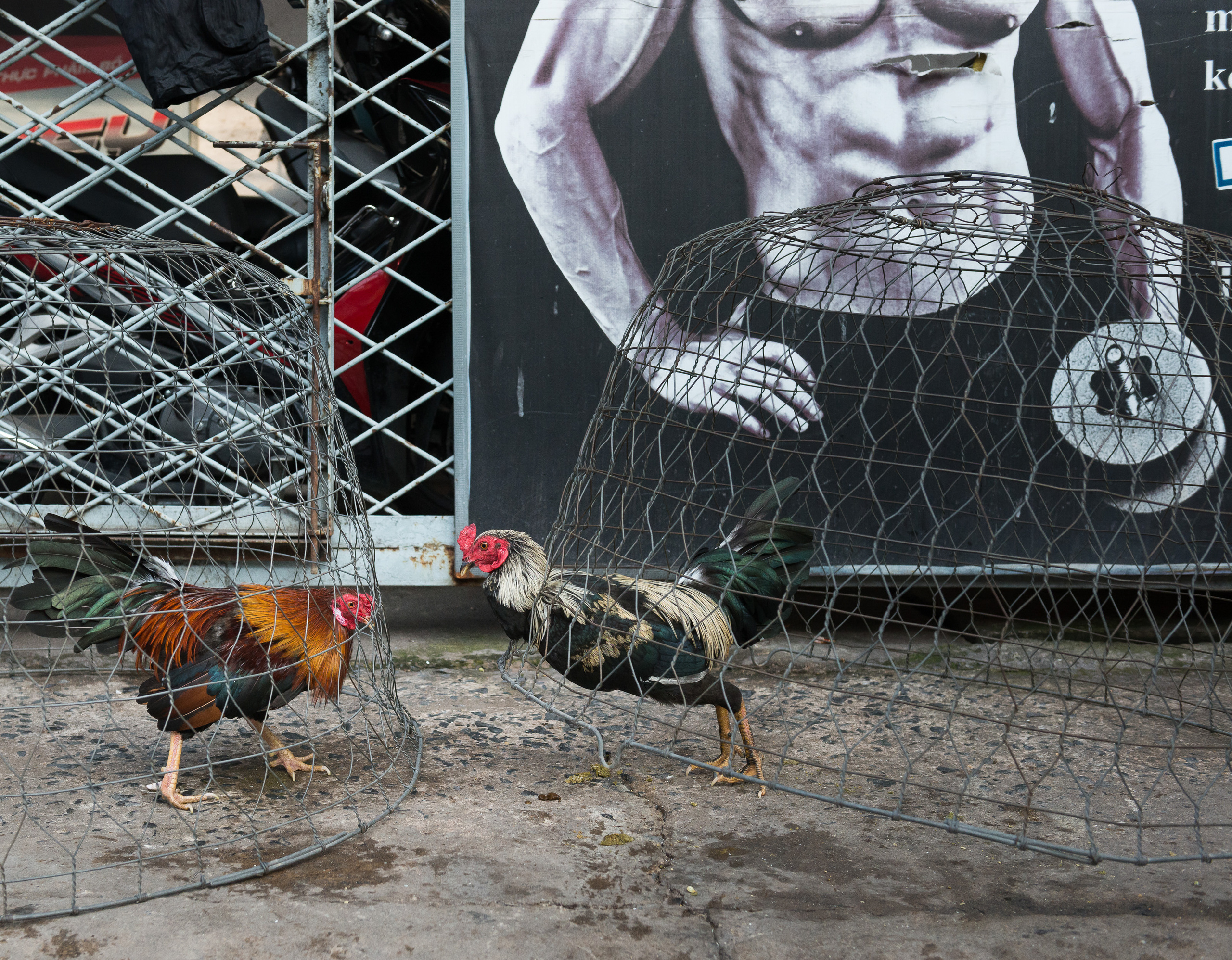 Люди. Юлия Розанова, коммерческий фоторепортаж в Москве