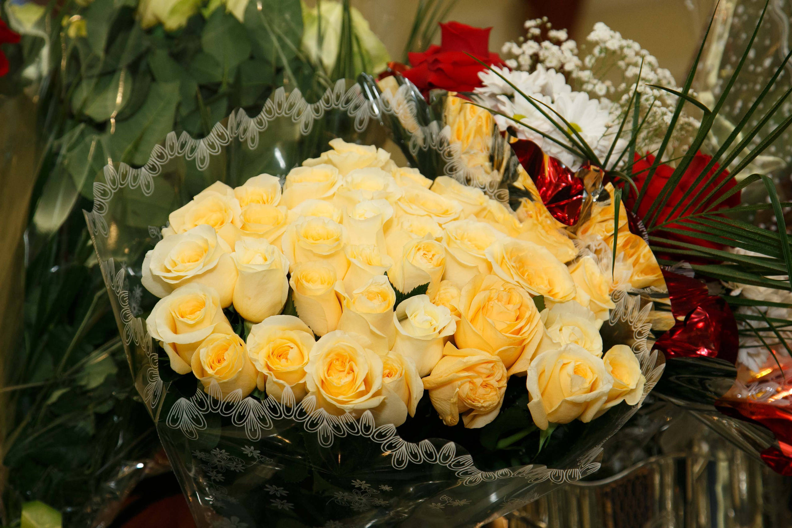 Александр и Вера. Юлия Розанова, коммерческий фоторепортаж в Москве