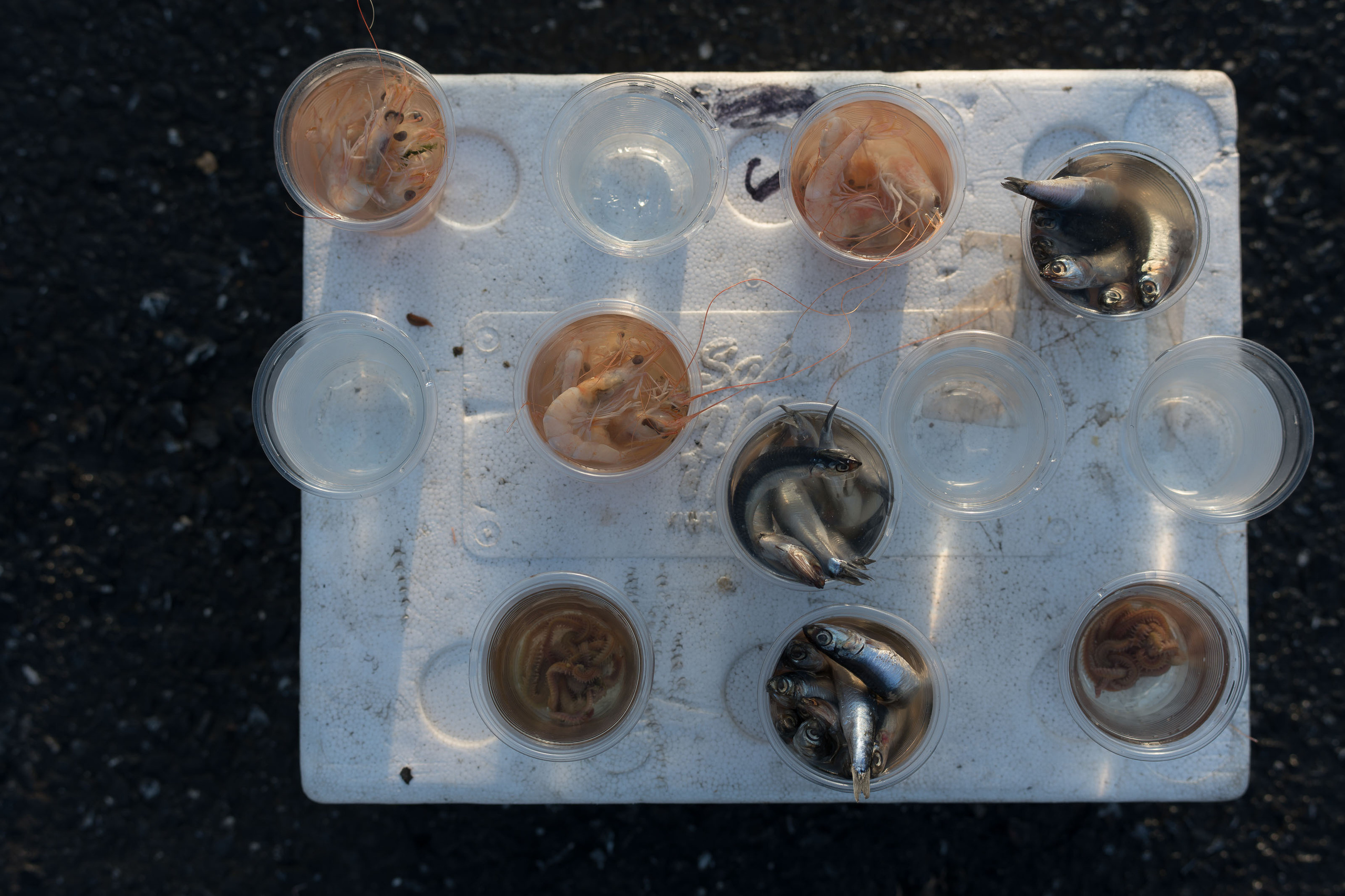 Стамбул '20. Юлия Розанова, коммерческий фоторепортаж в Москве