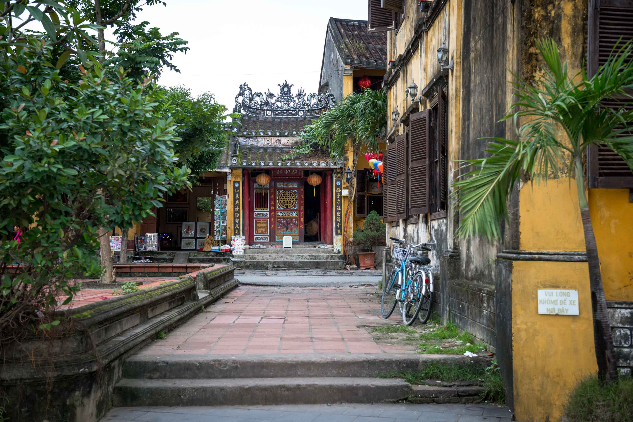 Хойан. Январь 2018. Юлия Розанова, коммерческий фоторепортаж в Москве