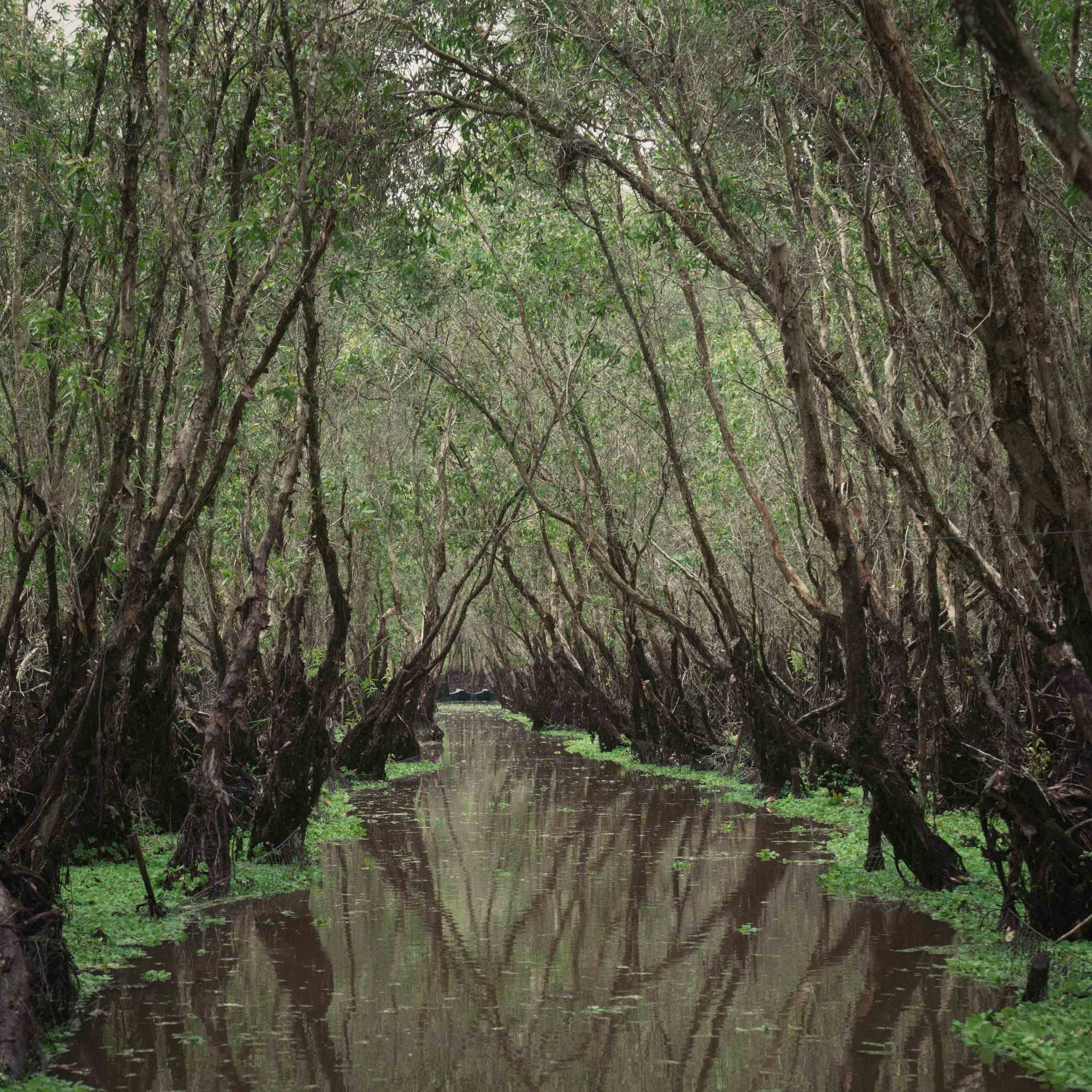 Тяудок. Март 2018. Юлия Розанова, коммерческий фоторепортаж в Москве