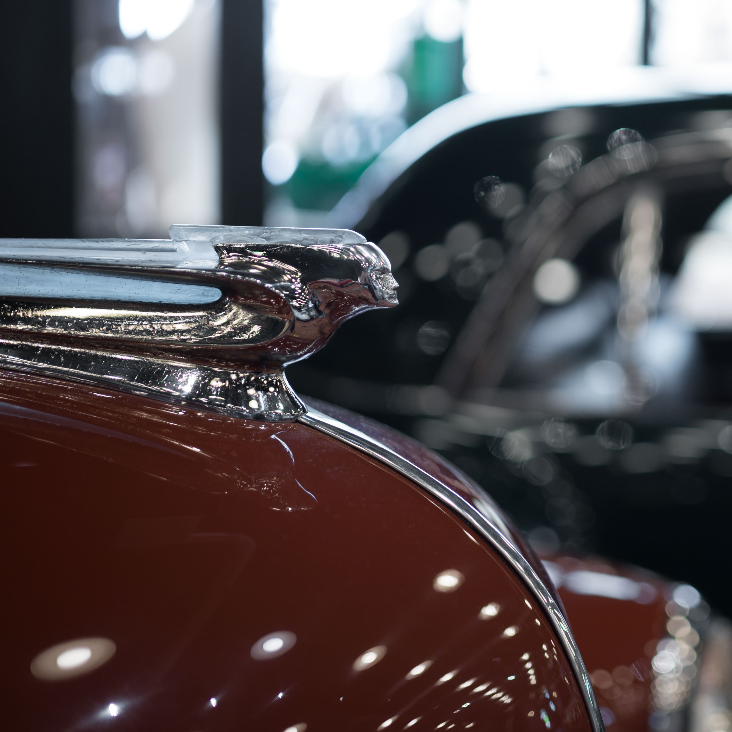 Турция '19. Юлия Розанова, коммерческий фоторепортаж в Москве