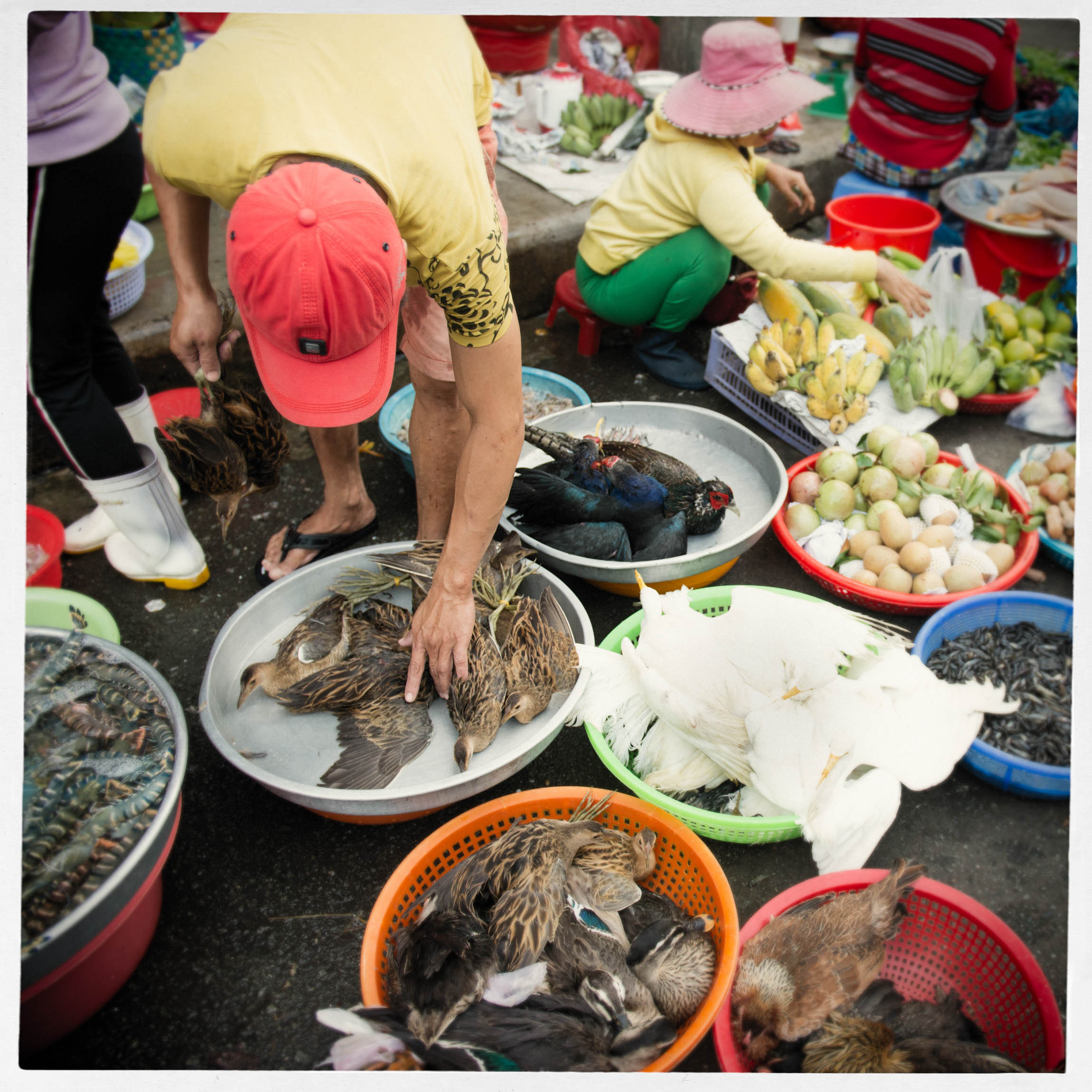 Фотопрогулка. Февраль 2019. Юлия Розанова, коммерческий фоторепортаж в Москве