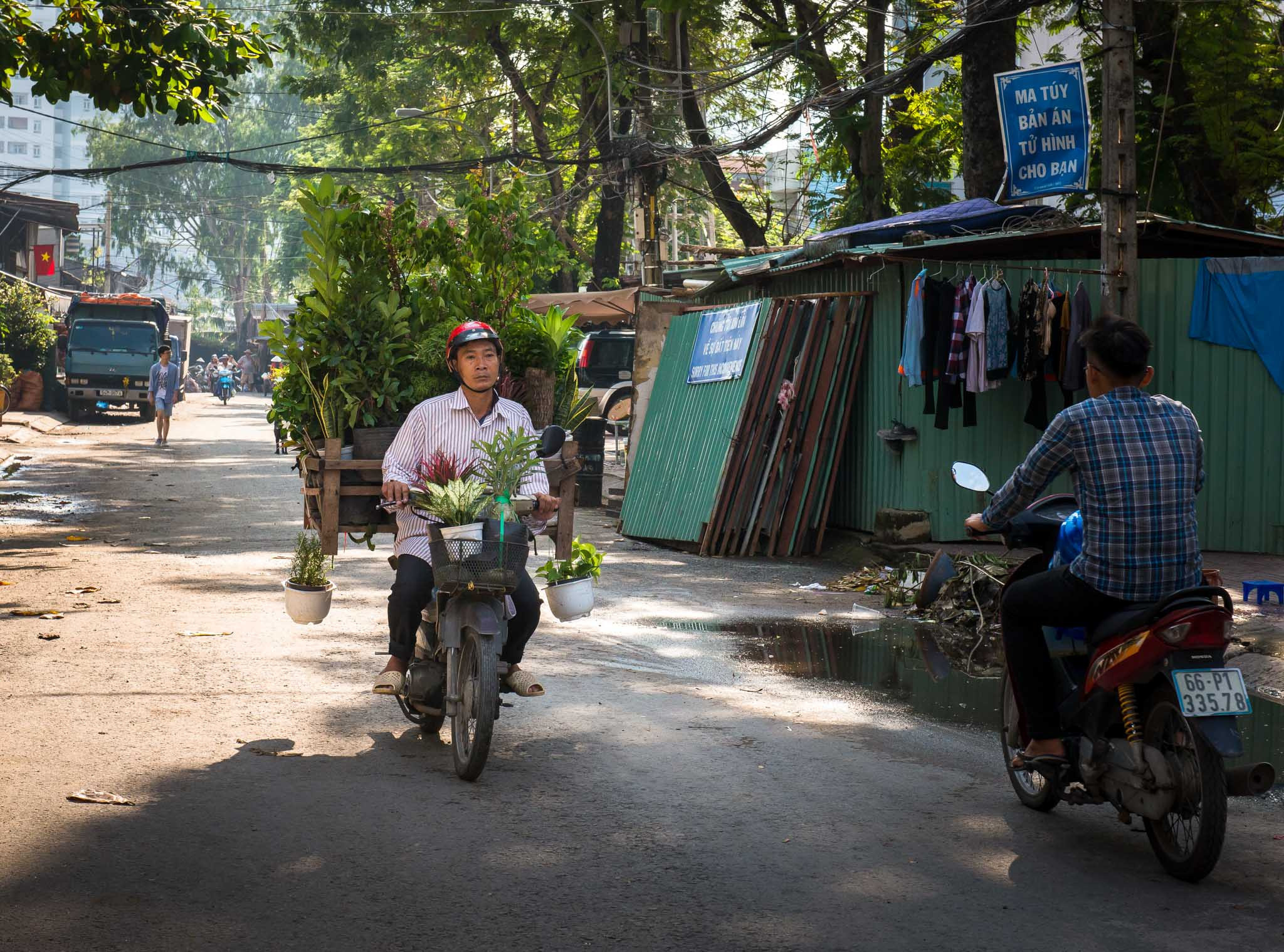 Фотопрогулка. Ноябрь 2017. Юлия Розанова, коммерческий фоторепортаж в Москве