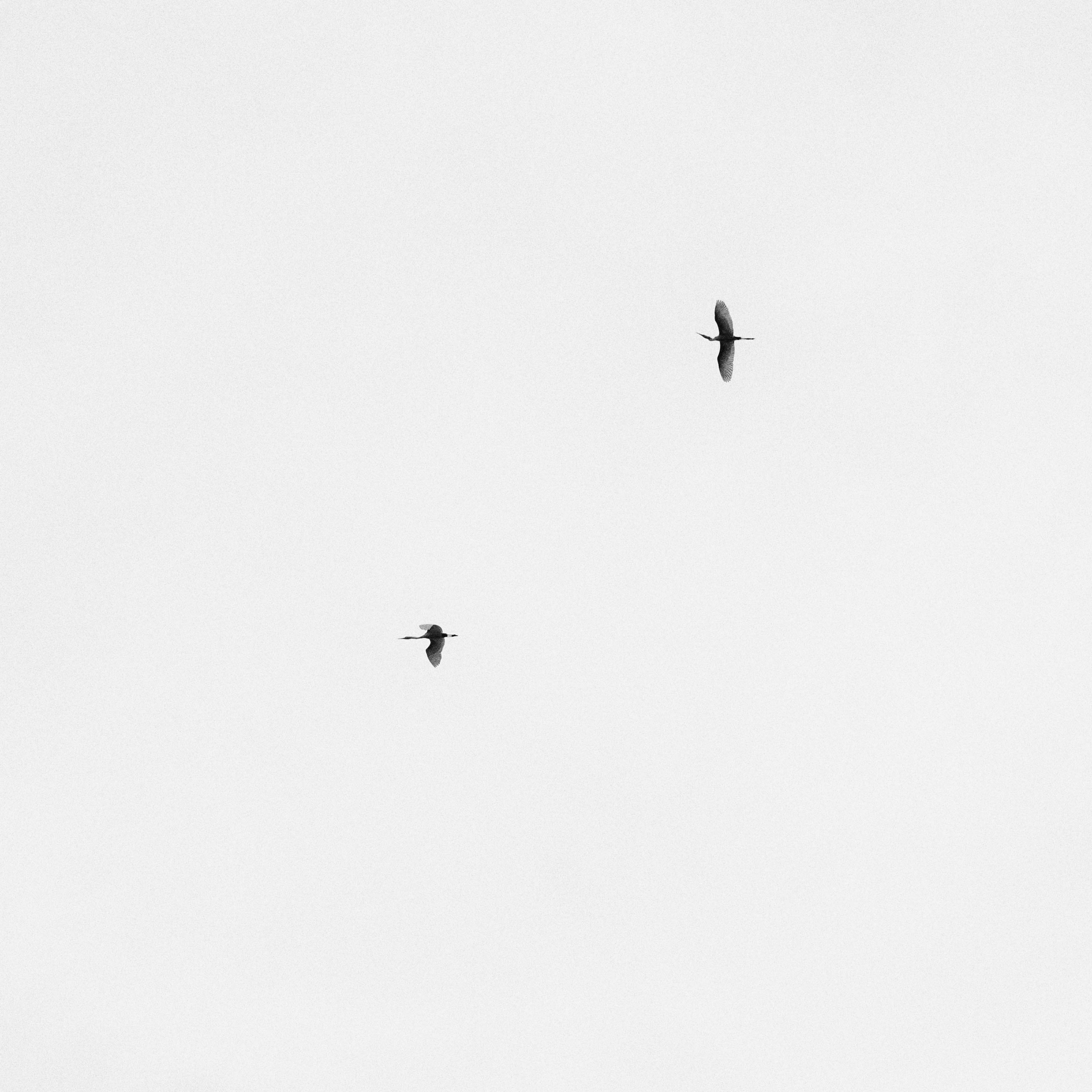 Хойан. Январь 2018. Юлия Розанова, коммерческий фоторепортаж в Москве