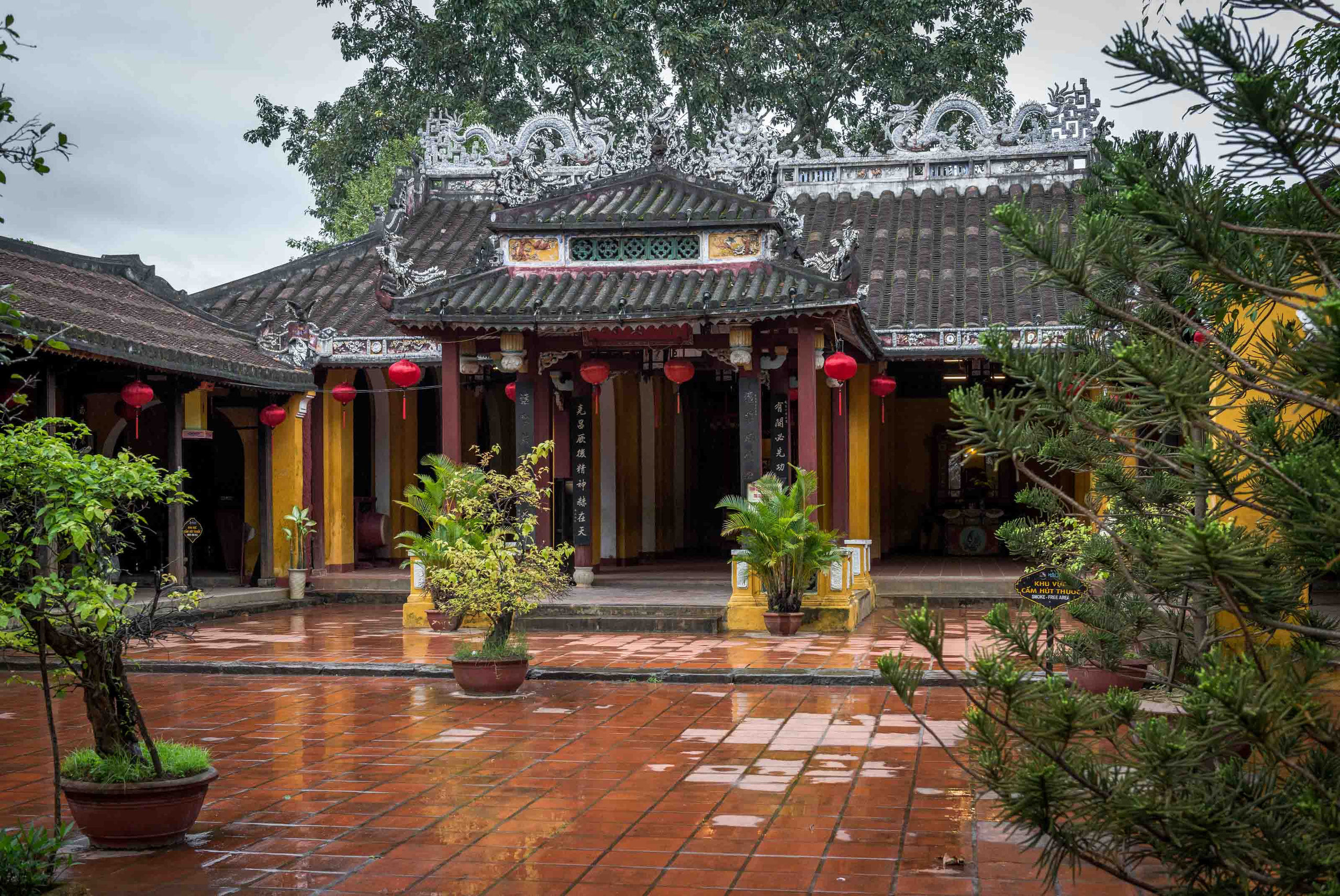 Хойан. Январь 2018. Юлия Розанова, коммерческий фоторепортаж в Москве