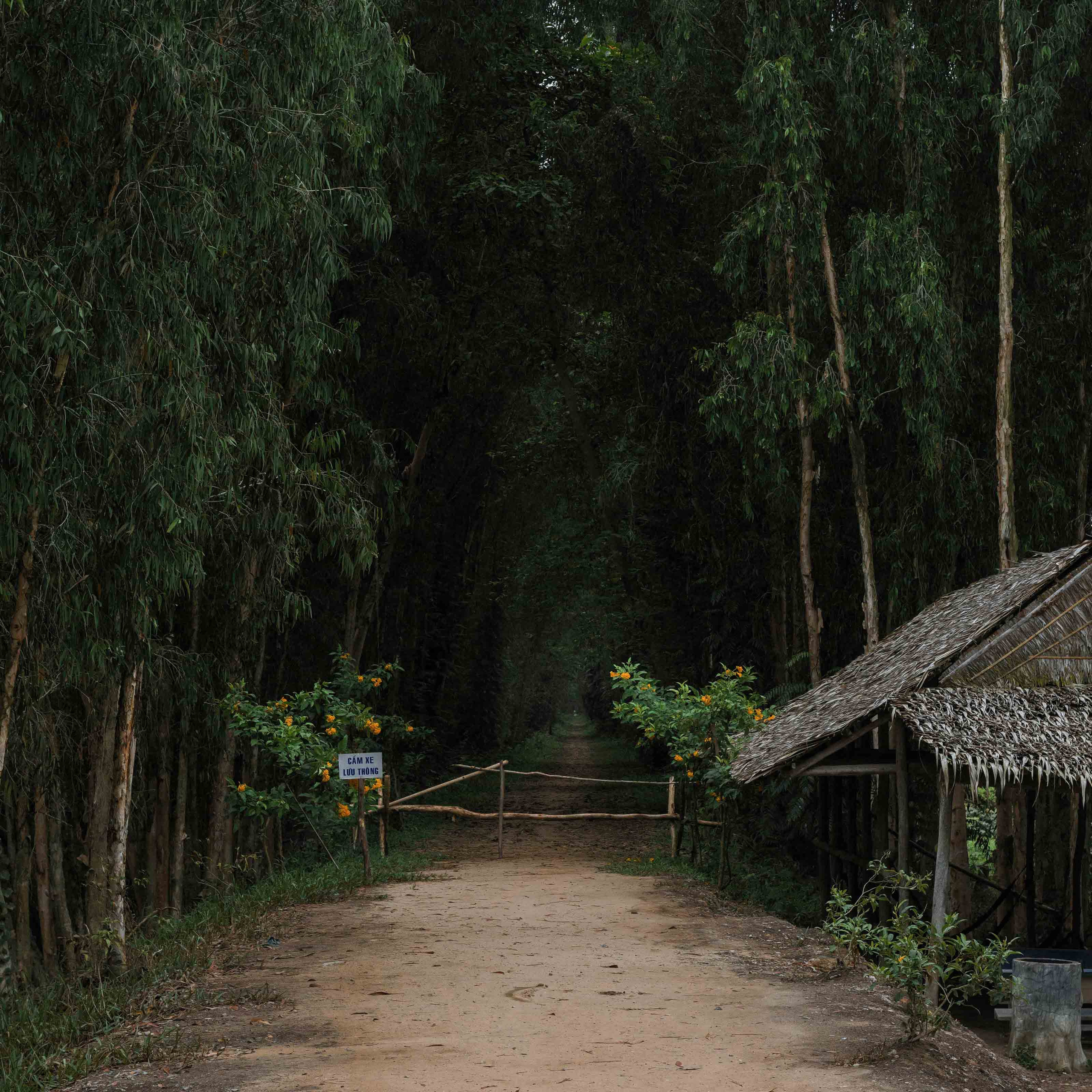 Тяудок. Март 2018. Юлия Розанова, коммерческий фоторепортаж в Москве