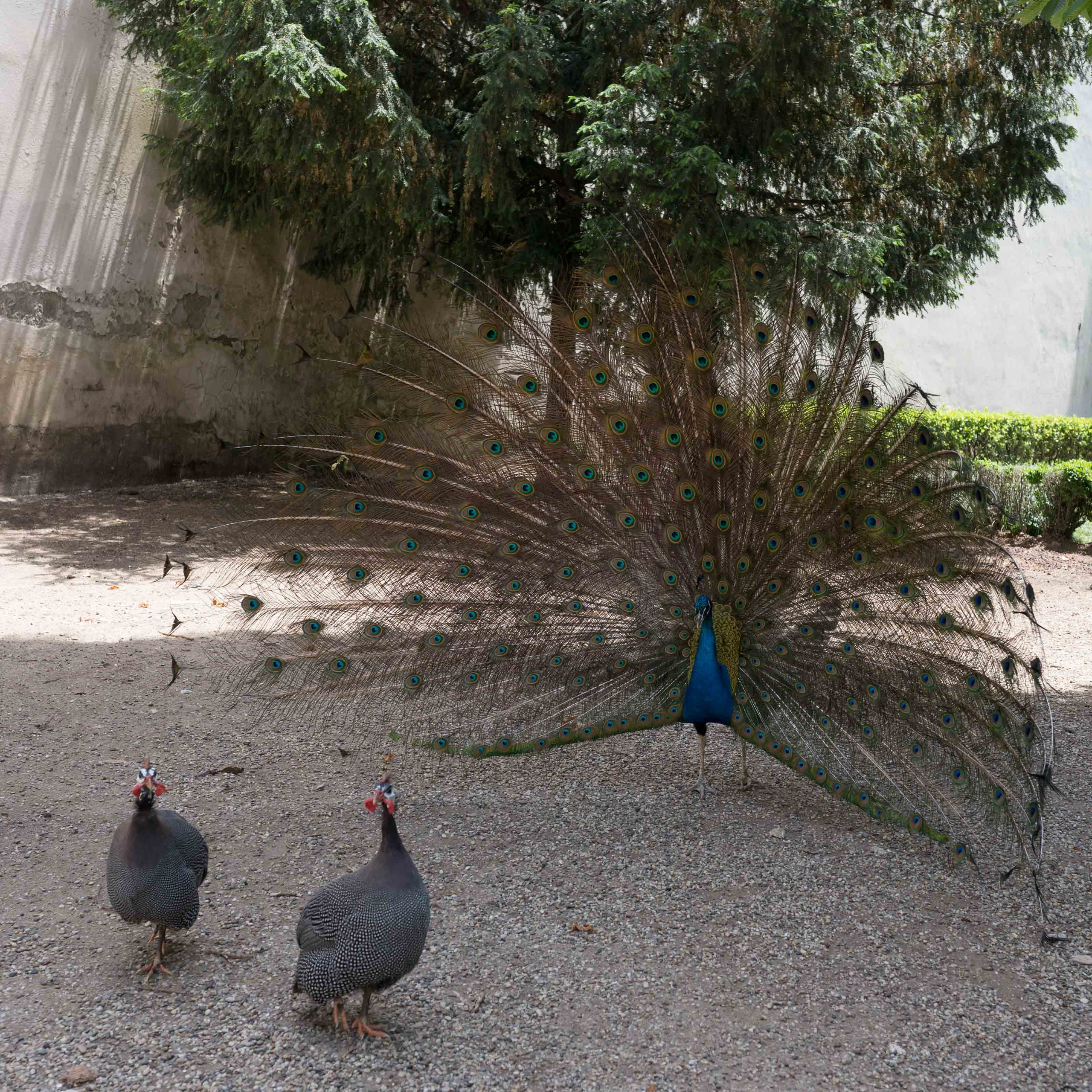 Турция '19. Юлия Розанова, коммерческий фоторепортаж в Москве