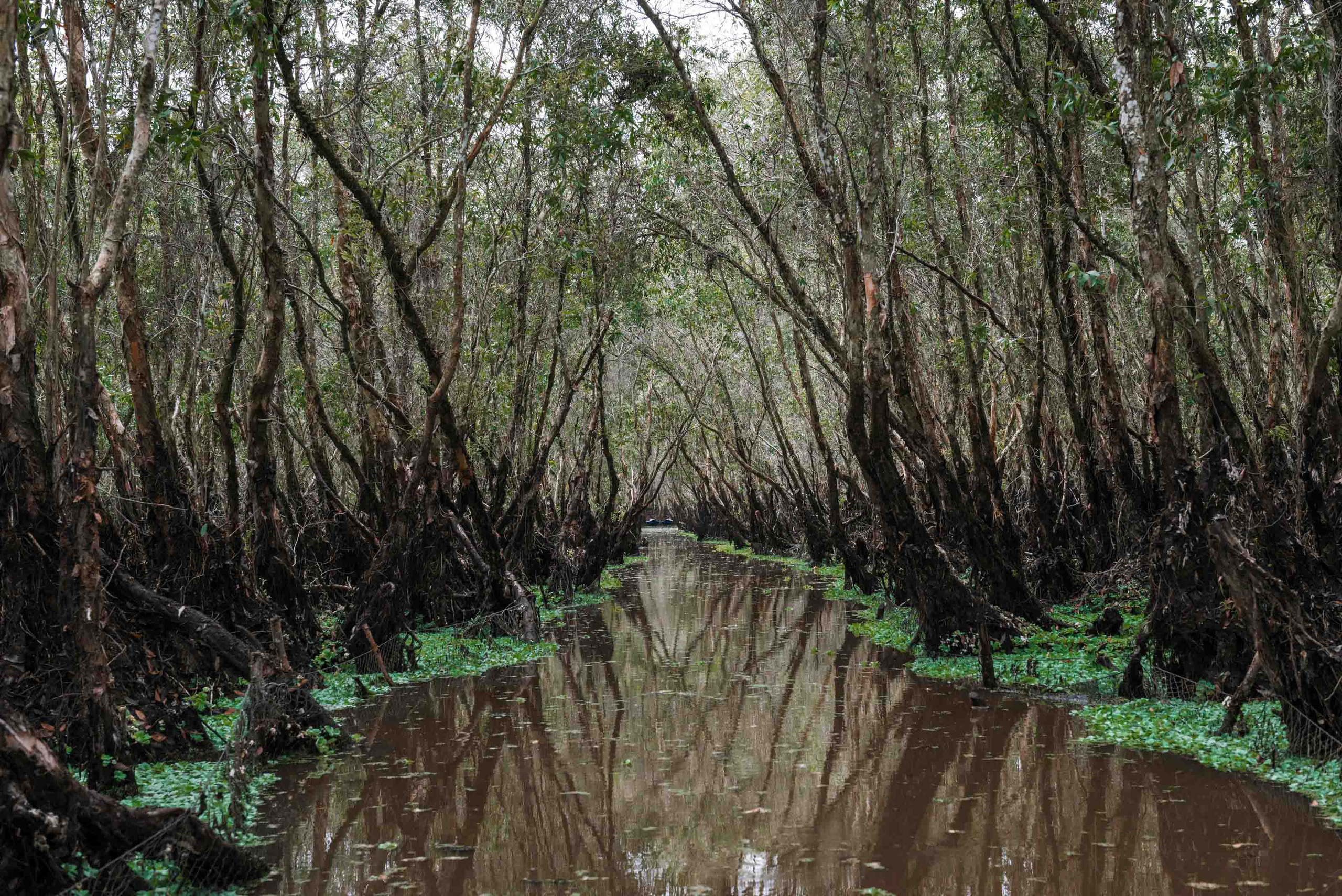 Тяудок. Март 2018. Юлия Розанова, коммерческий фоторепортаж в Москве